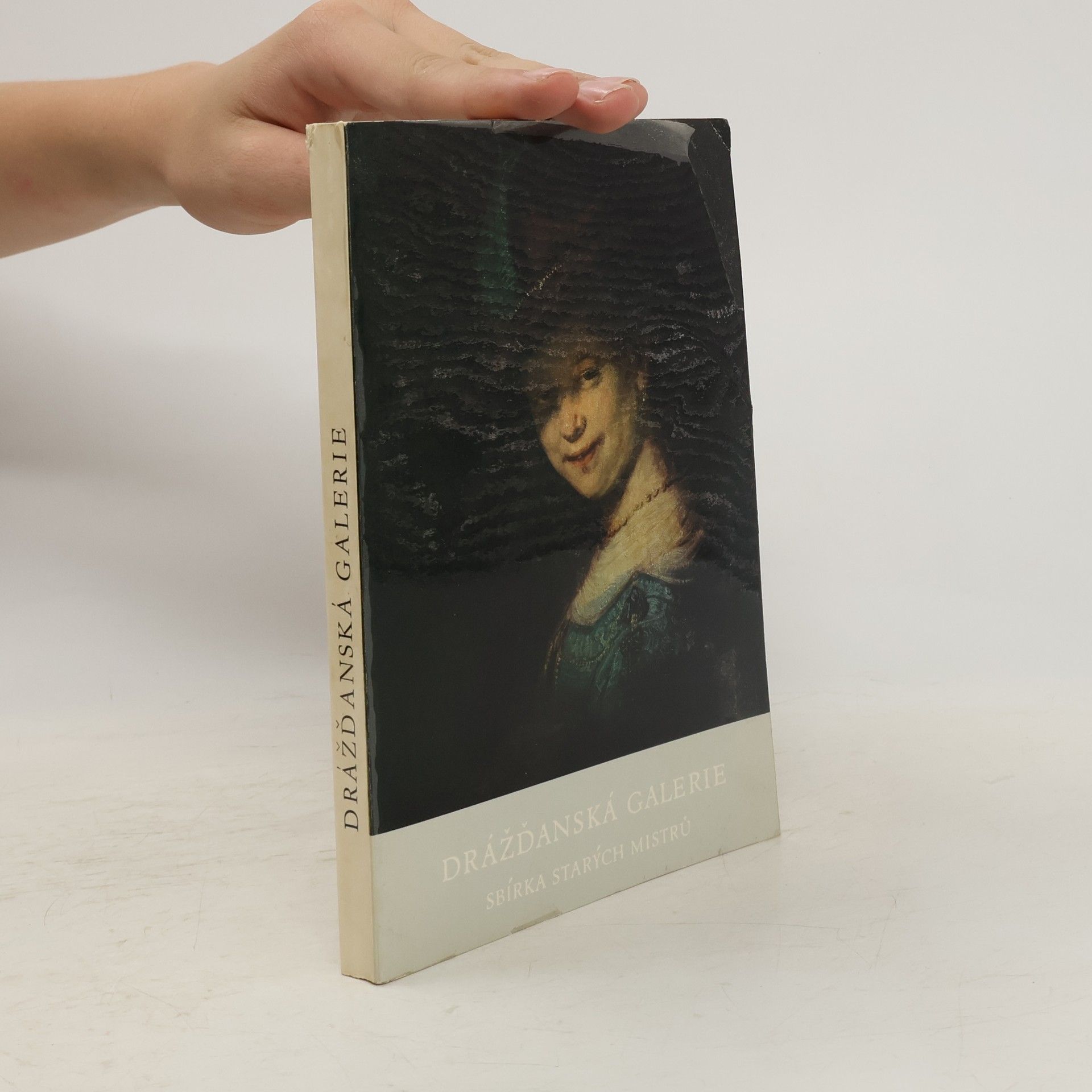 Kolektív autorov Drážďanská galerie. Sbírka starých mistrů