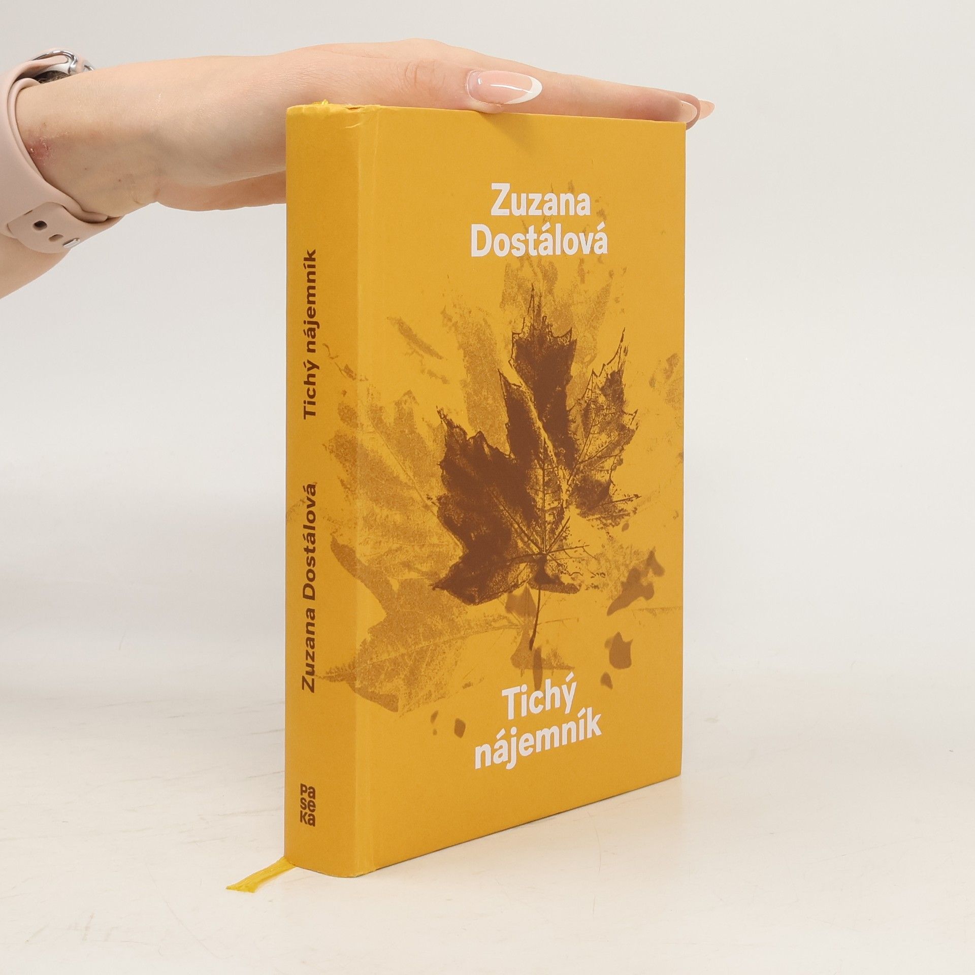Zuzana Dostálová Tichý nájemník