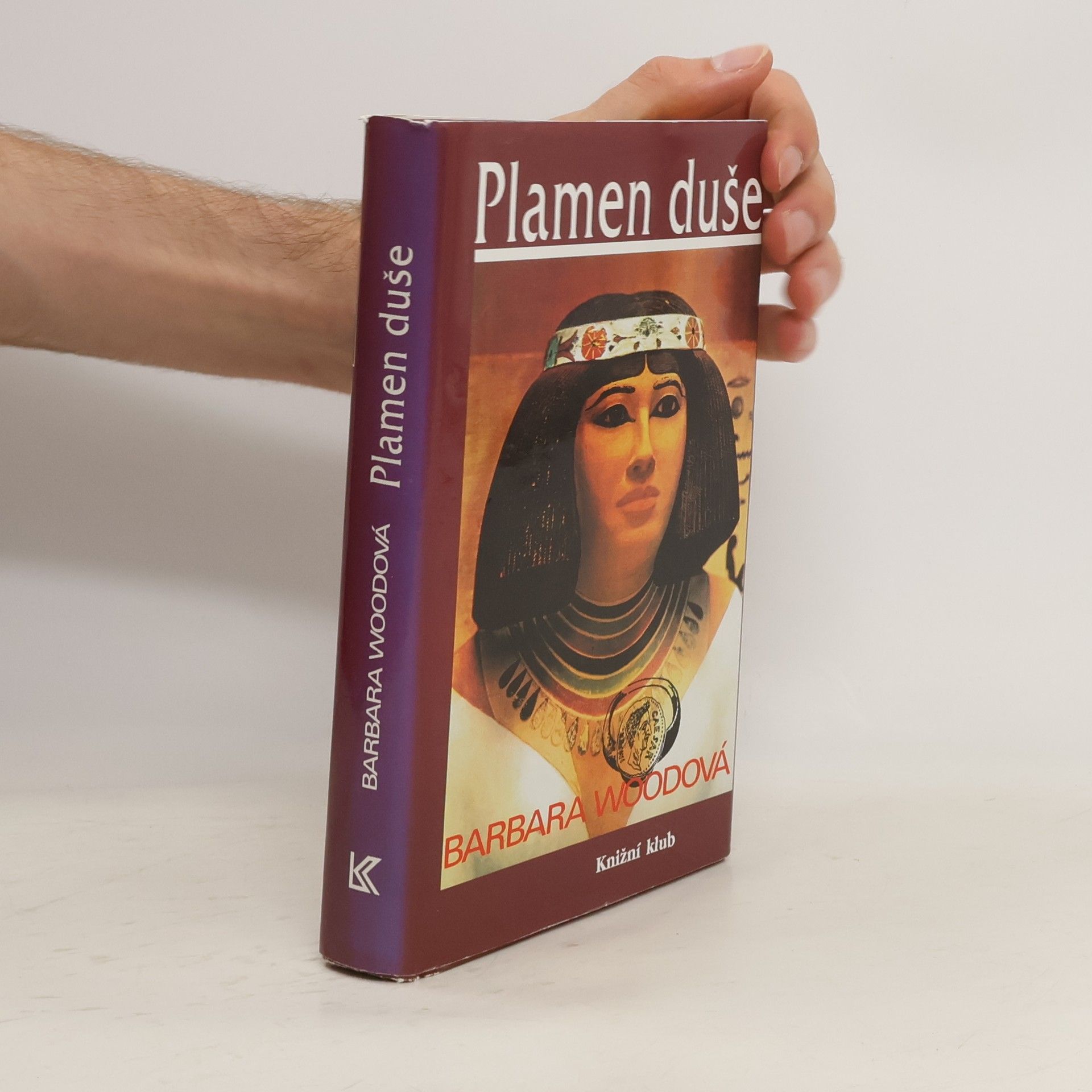 Barbara Wood Plamen duše