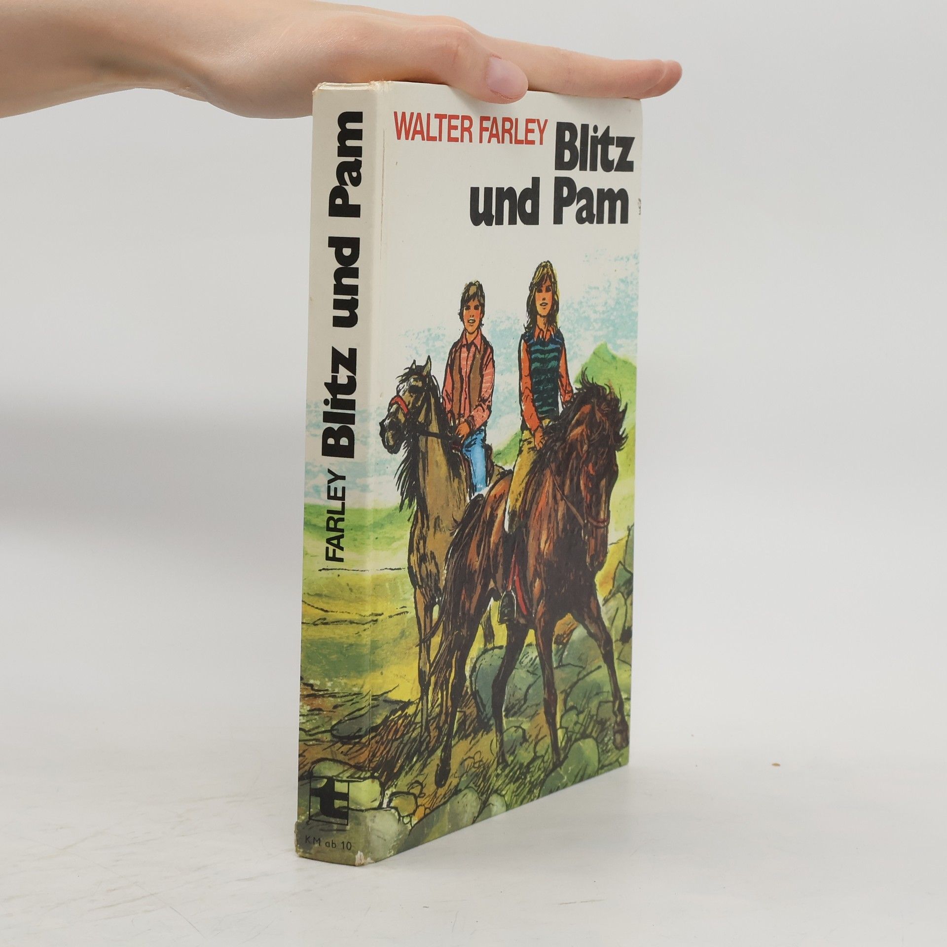Walter Farley Blitz und Pam
