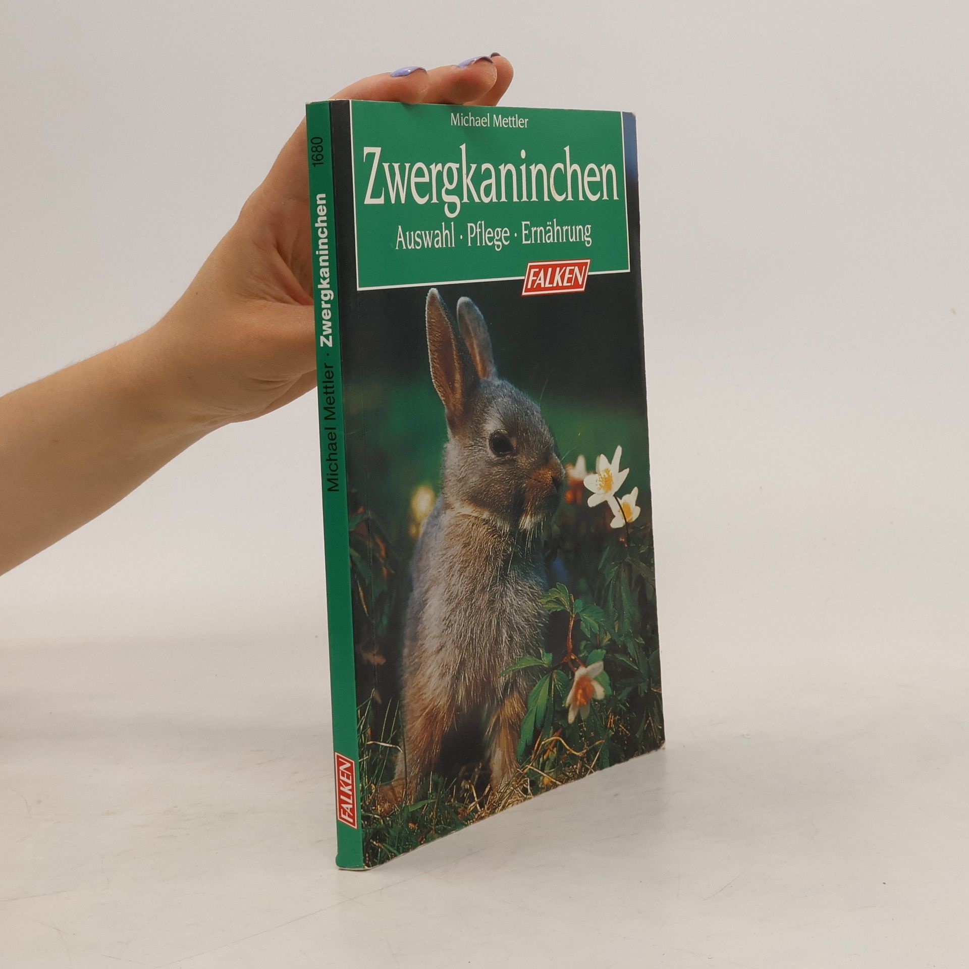 Michael Mettler Zwergkaninchen