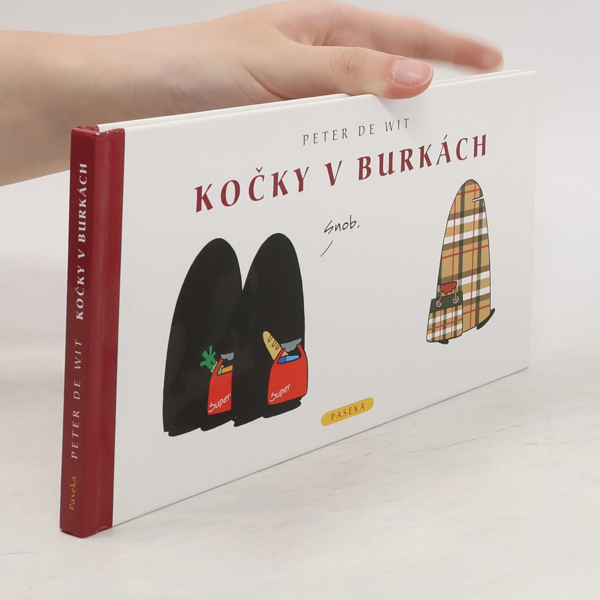 Peter de Wit Kočky v burkách