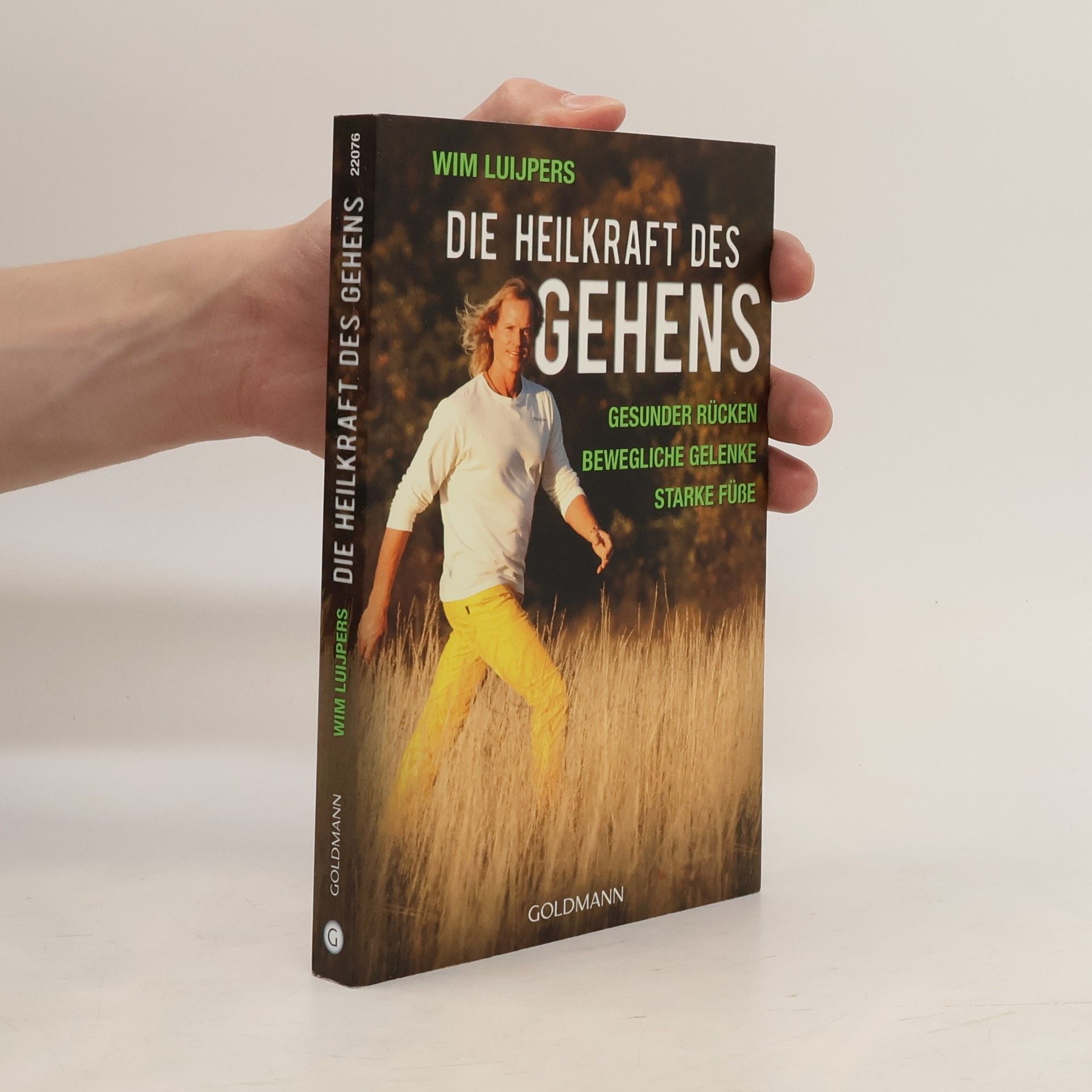 Wim Luijpers Die Heilkraft des Gehens