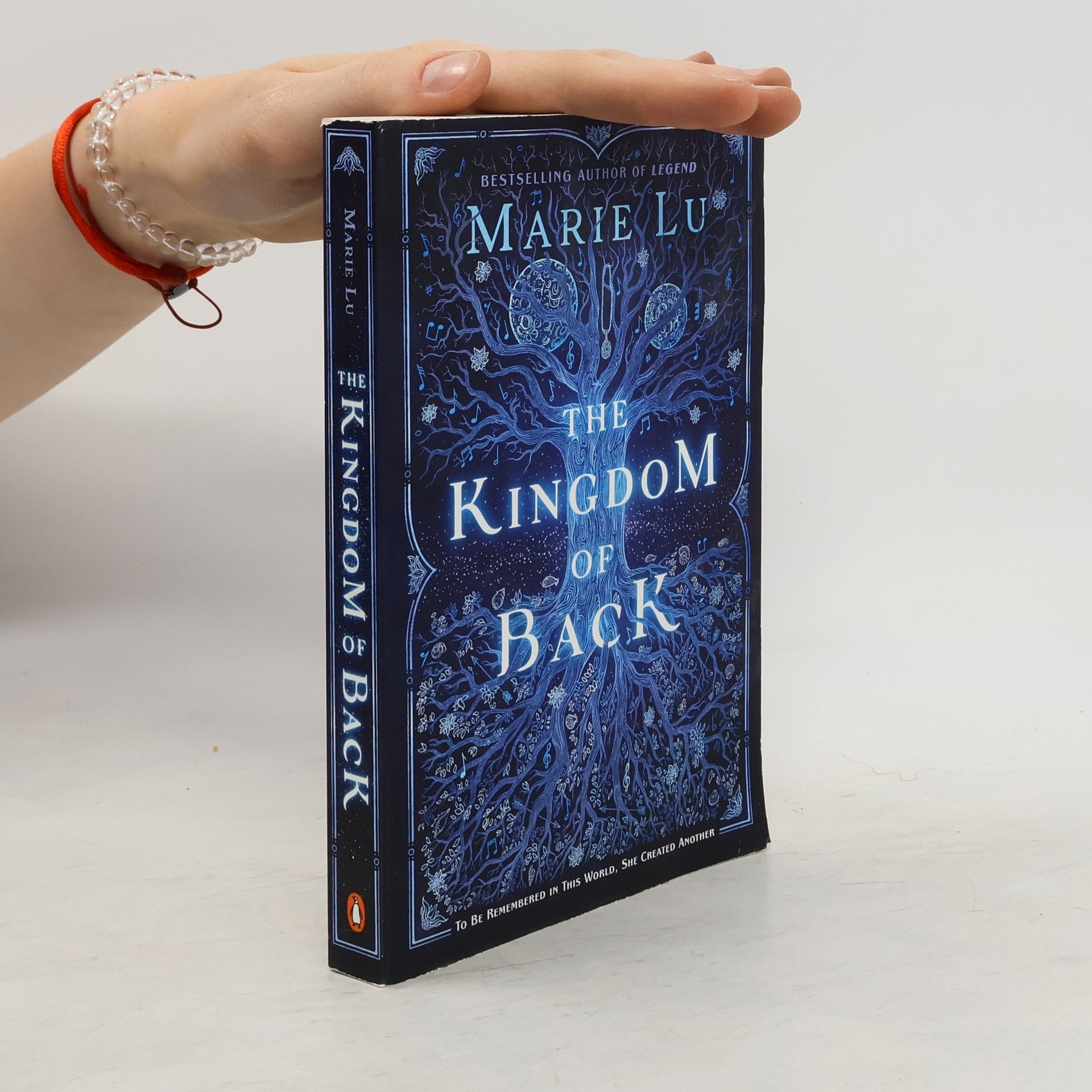 Marie Lu The Kingdom of Back