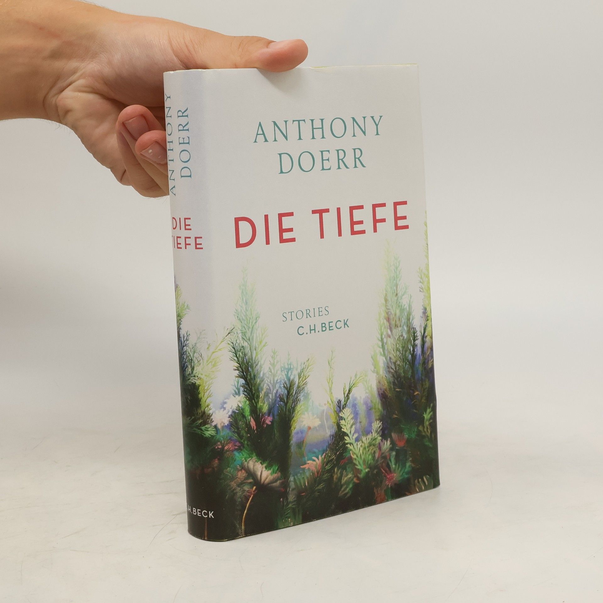 Anthony Doerr Die Tiefe