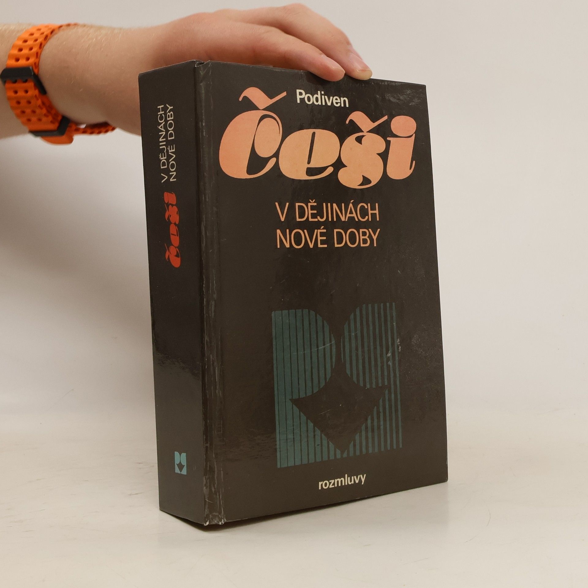 Kolektiv autorů Češi v dějinách nové doby : pokus o zrcadlo