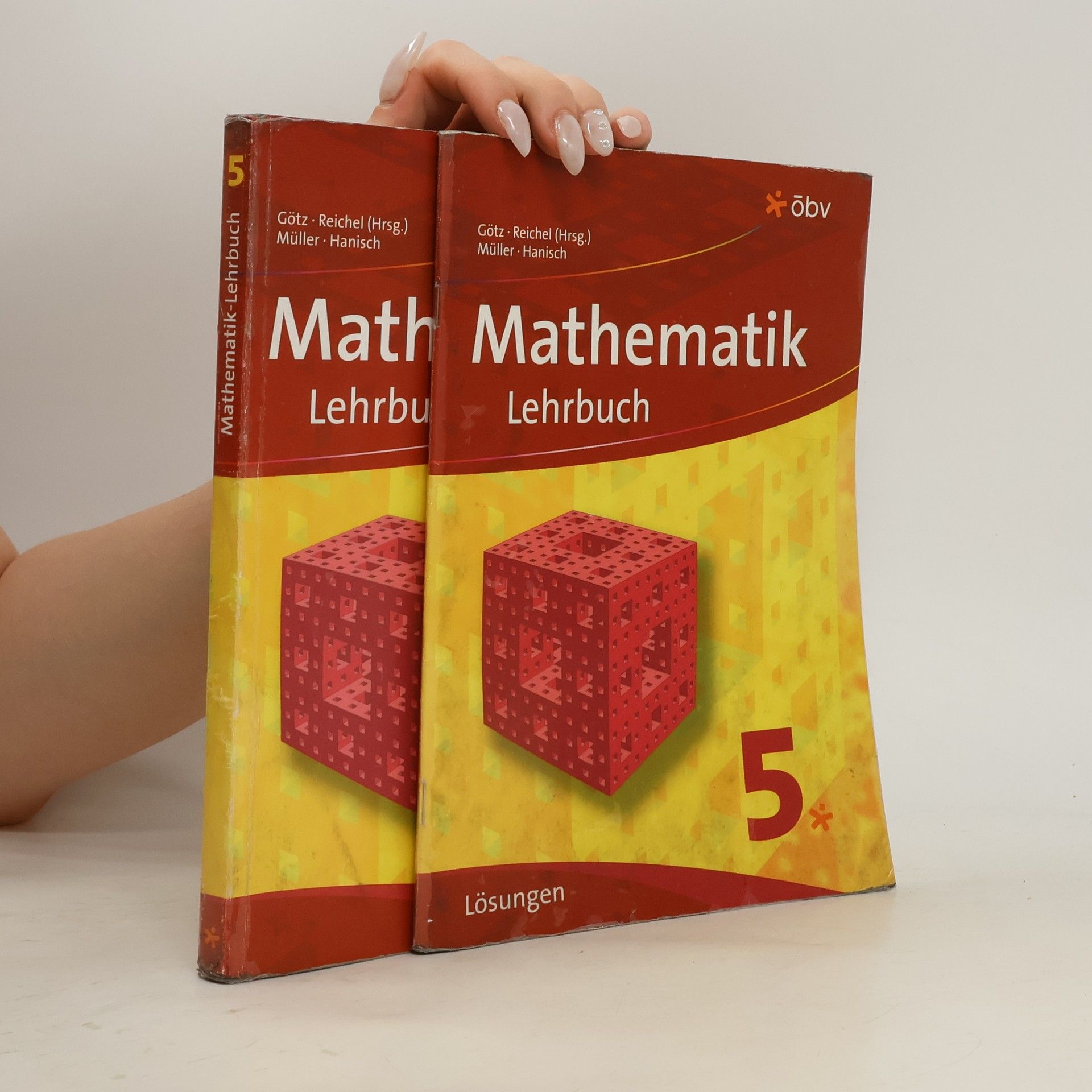 kolektiv Mathematik Lehrbuch 5 mit Lösungen