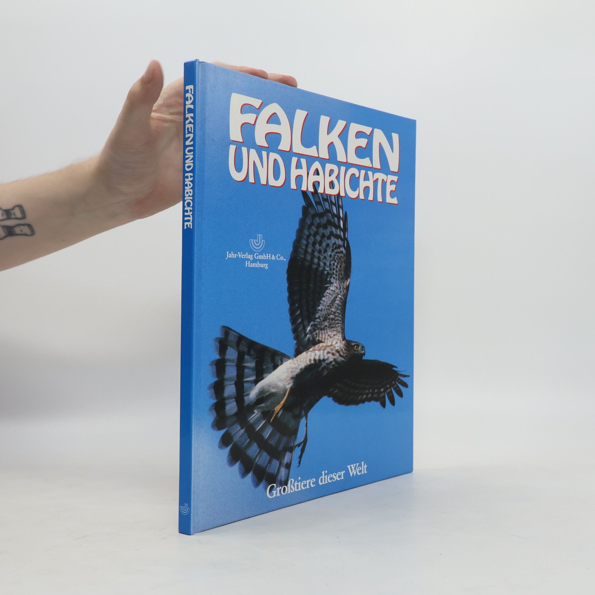 Autorenkollektiv Falken und Habichte