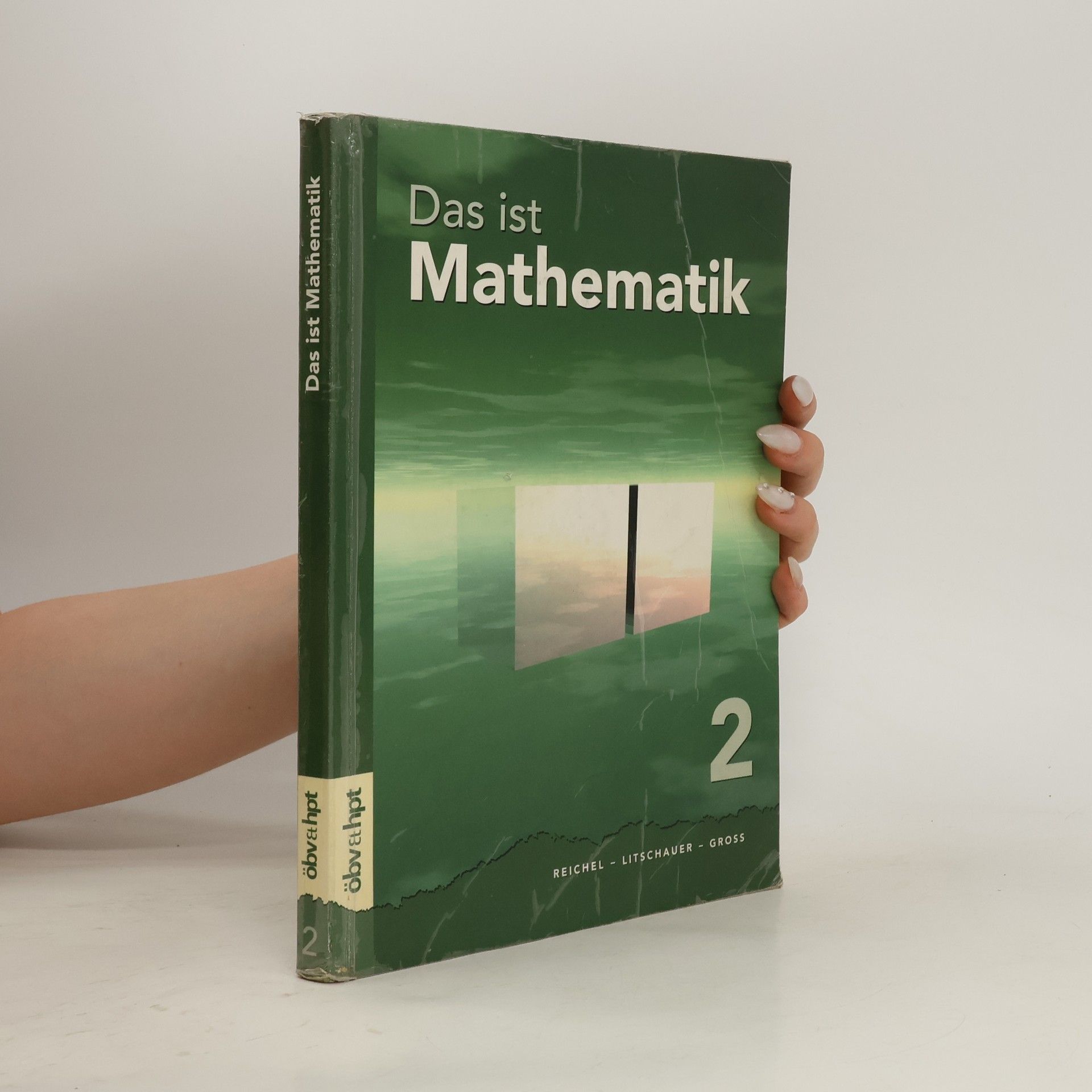 Hans-Christian Reichel Das ist Mathematik 2