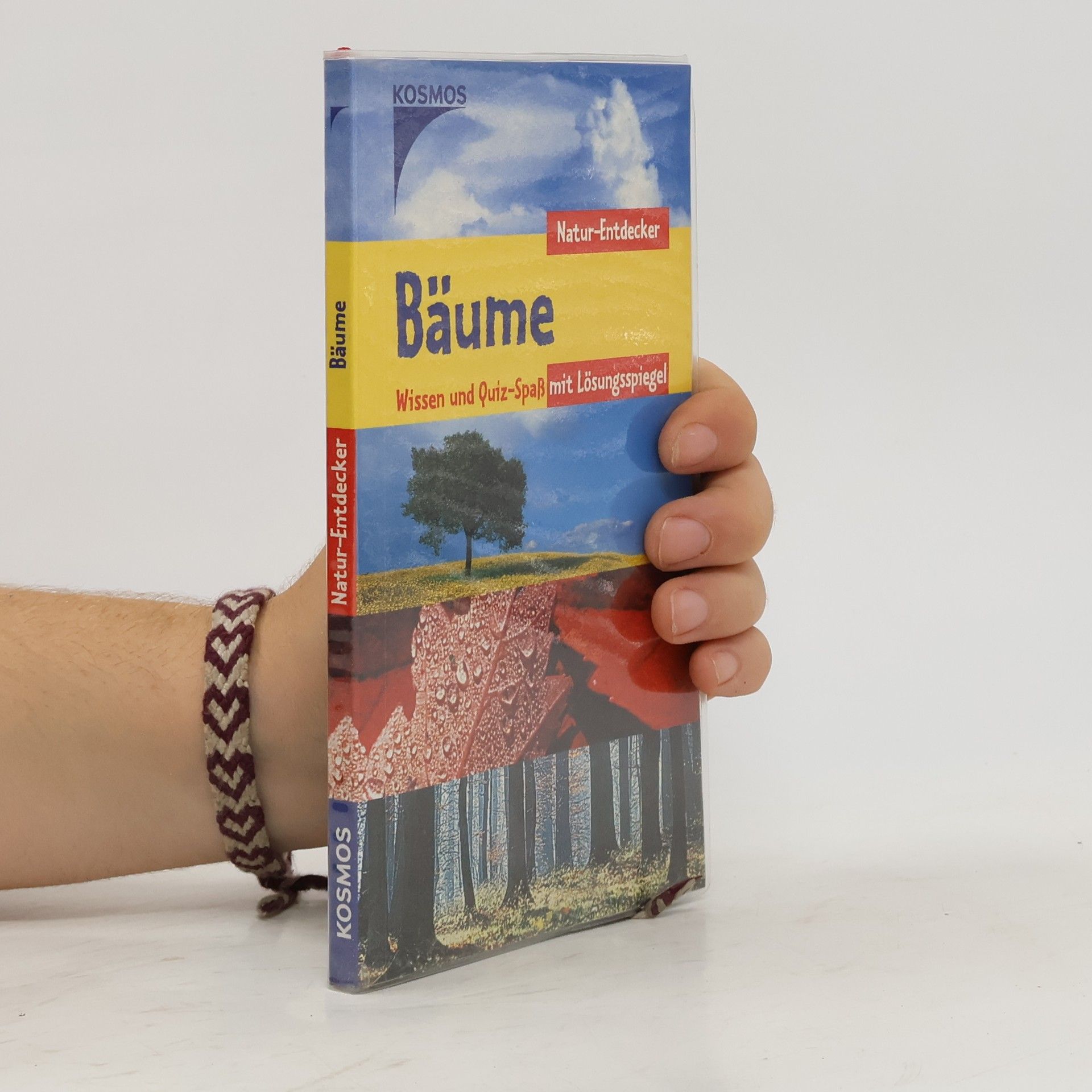 Ursula Stichmann-Marny Bäume