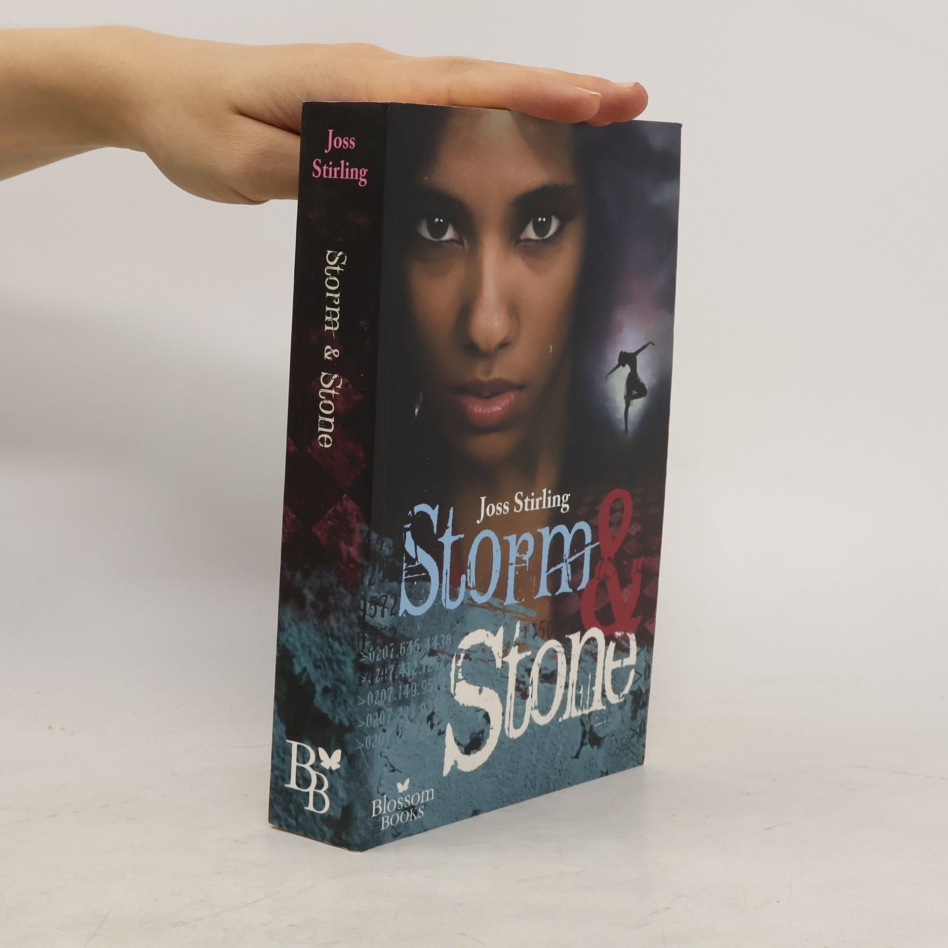Julia Golding Storm & Stone