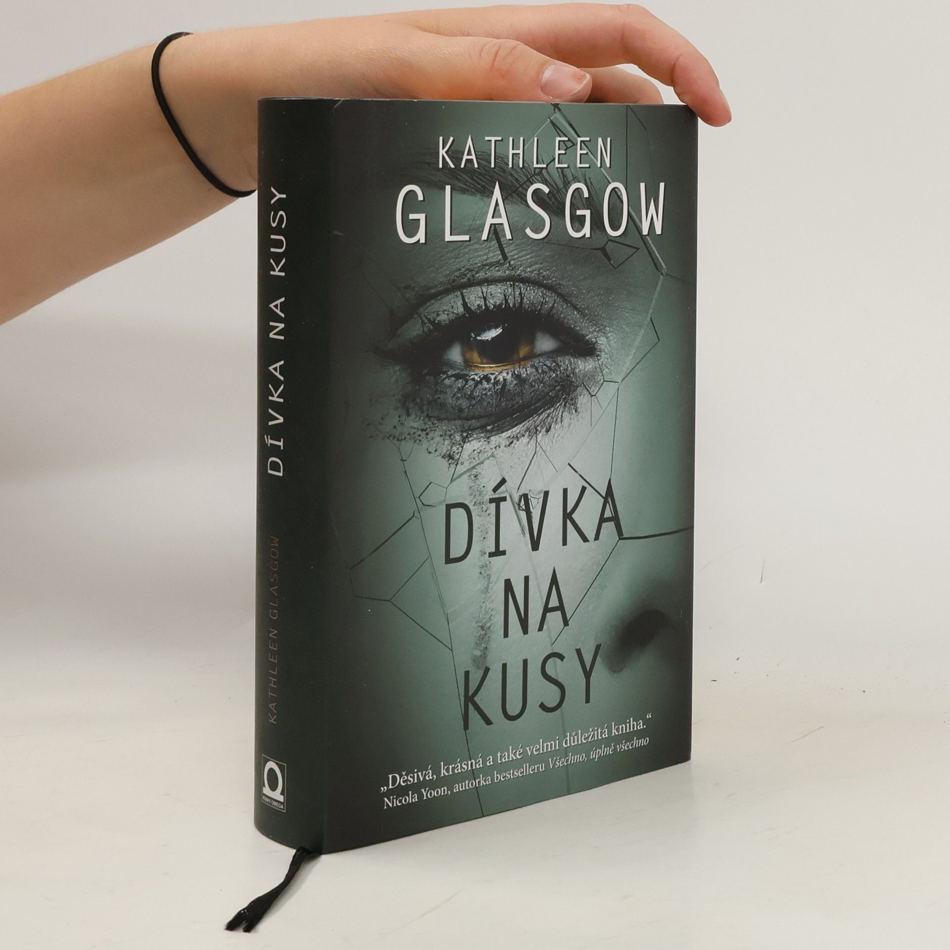 Kathleen Glasgow Dívka na kusy