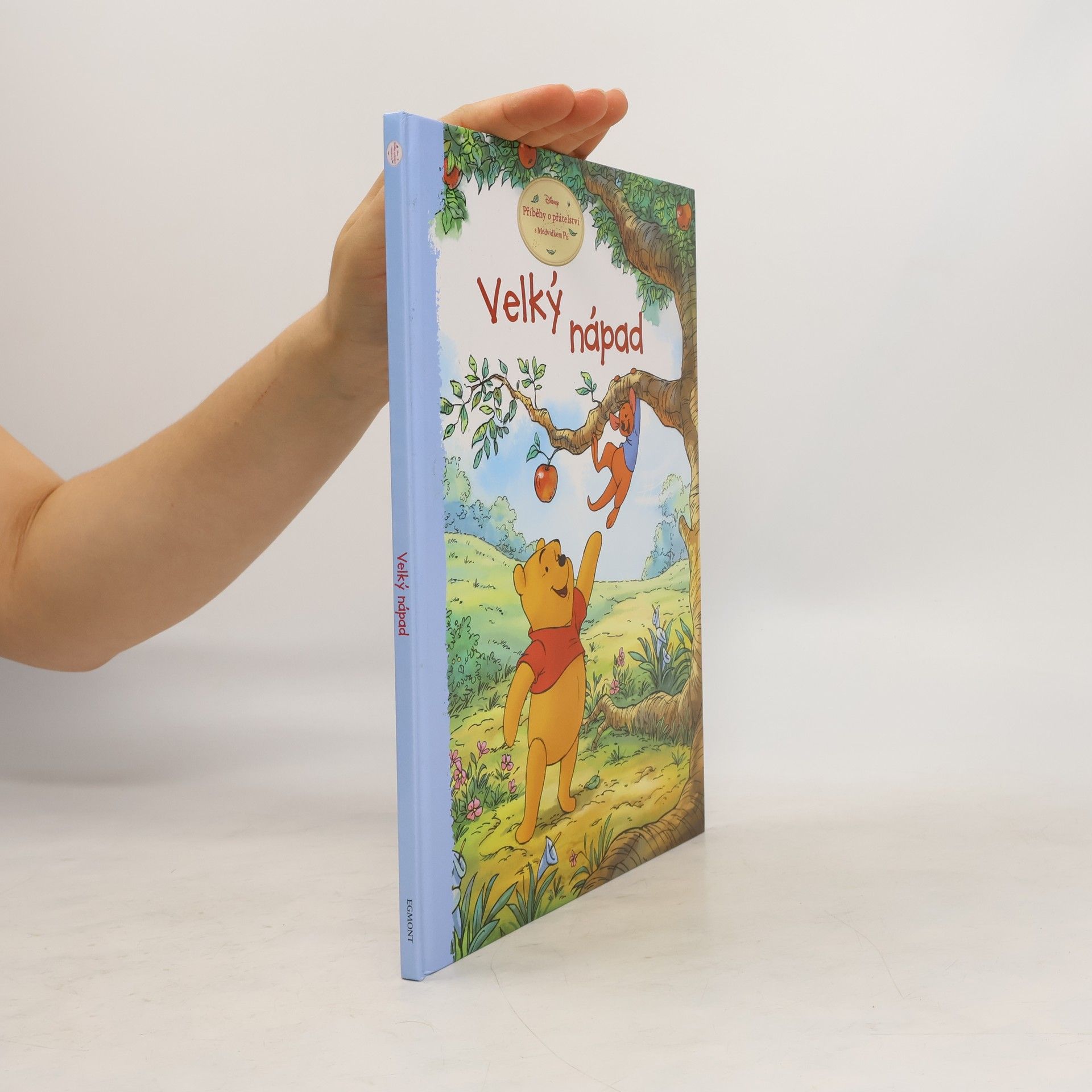 Thea Feldman Příběhy o přátelství - Velký nápad