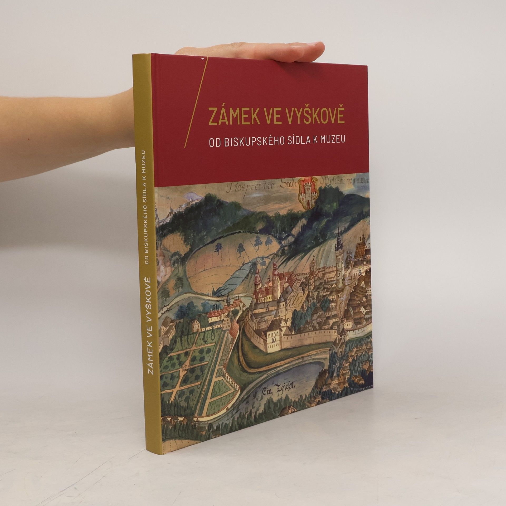 kolektiv Zámek ve Vyškově - Od biskupského sídla k muzeu