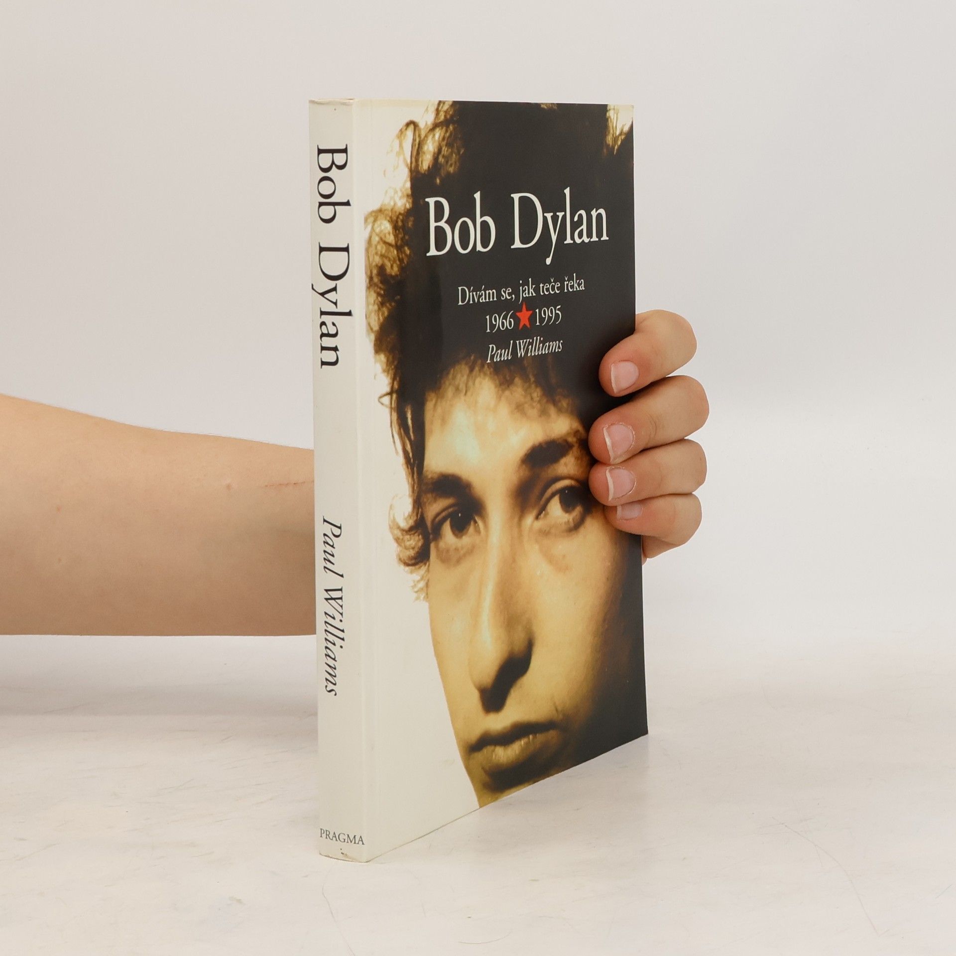 Paul Williams Bob Dylan - Dívám se, jak teče řeka 1966 - 1995
