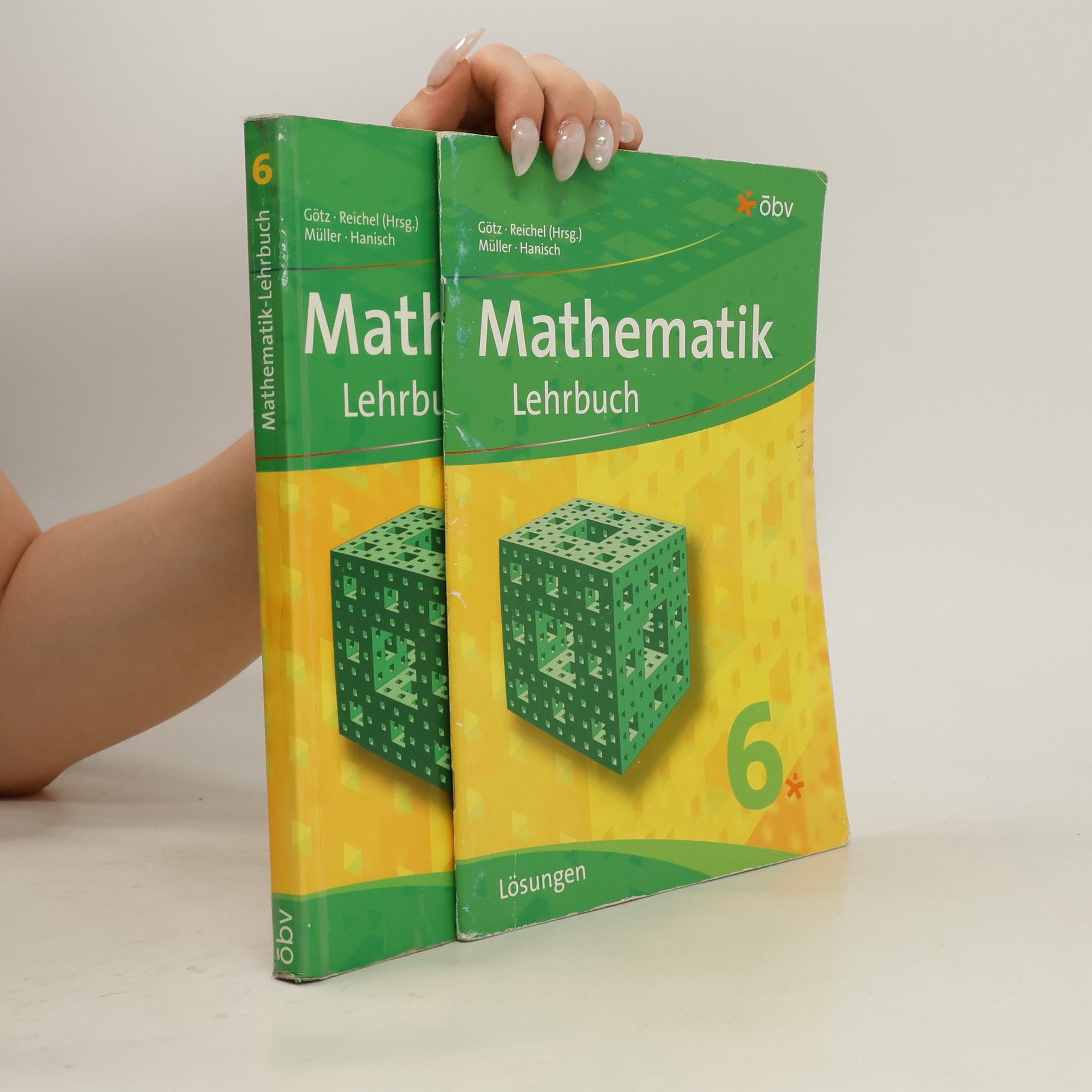 Günter Hanisch Mathematik Lehrbuch 6 + Lösungen 6