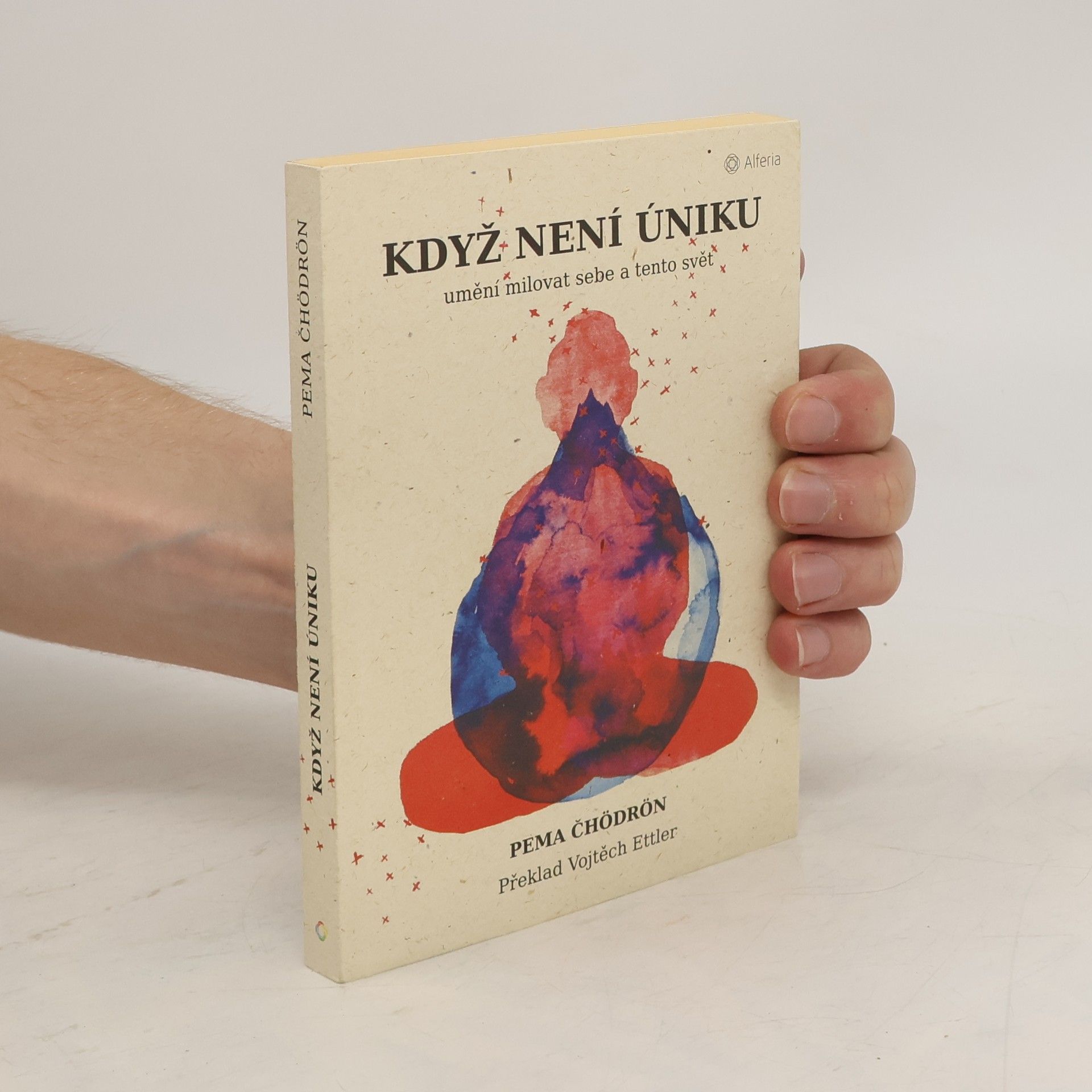 Pema Chödrön Když není úniku: Umění milovat sebe a tento svět