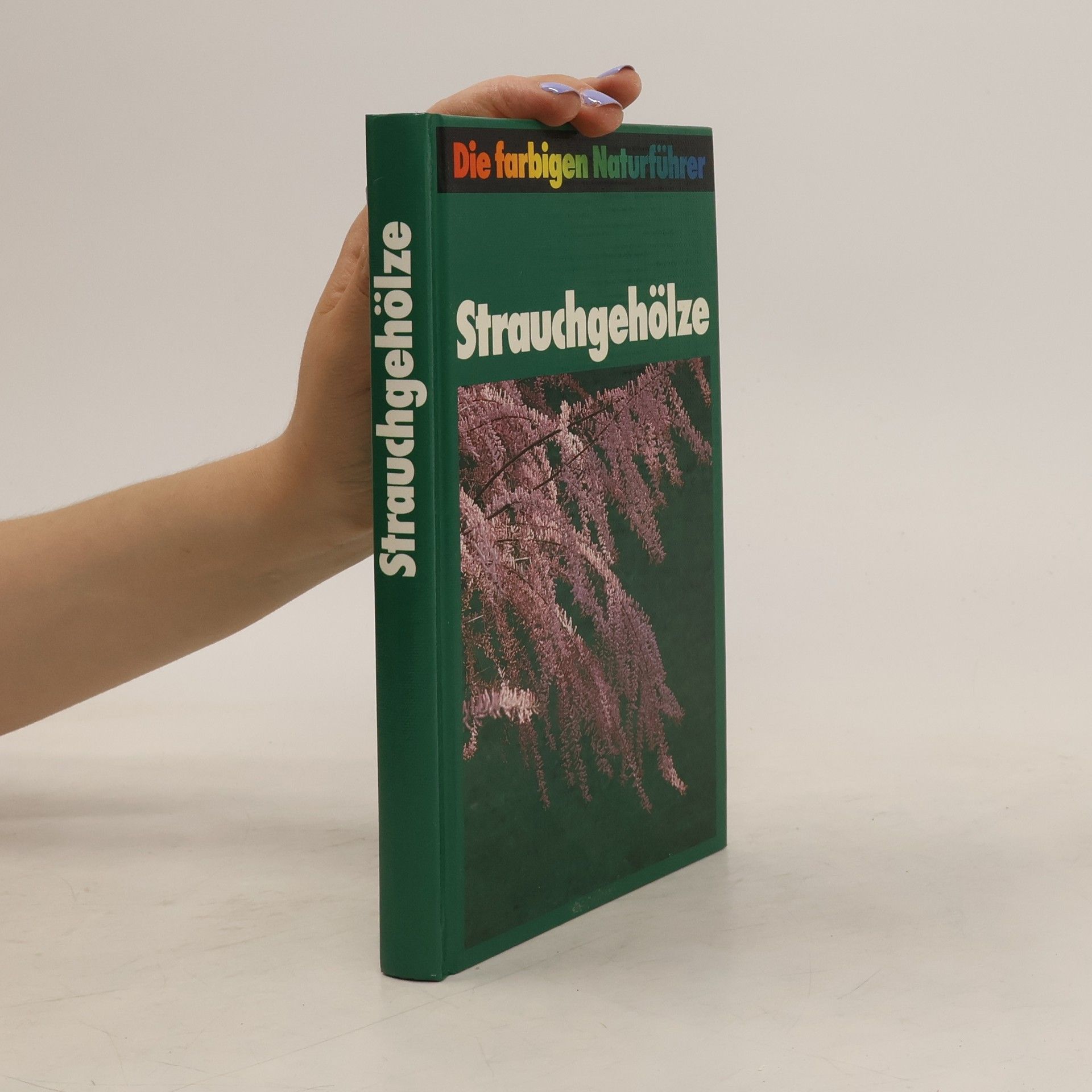 Collectif d'auteurs Strauchgehölze