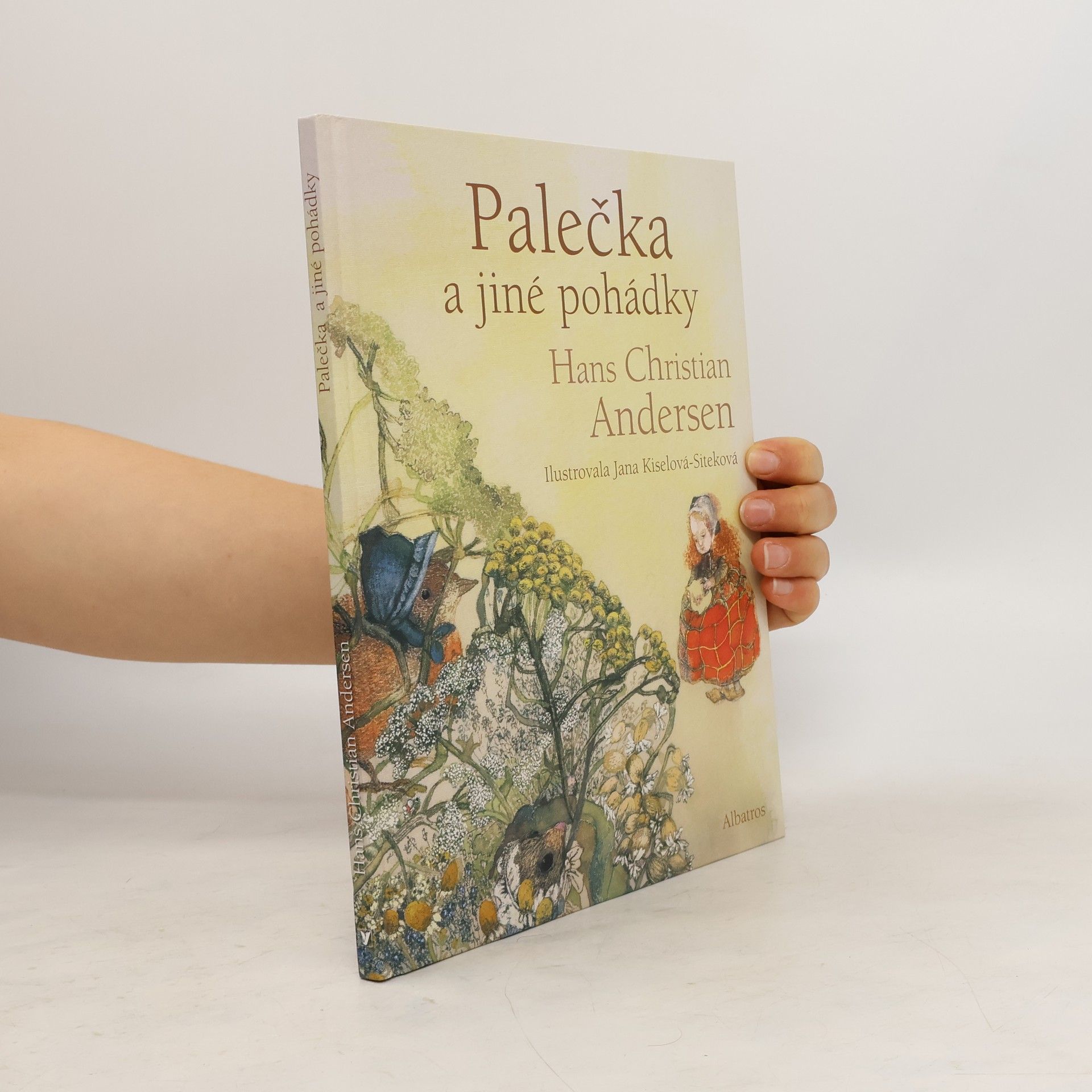 Hans-Christian Andersen Palečka a jiné pohádky
