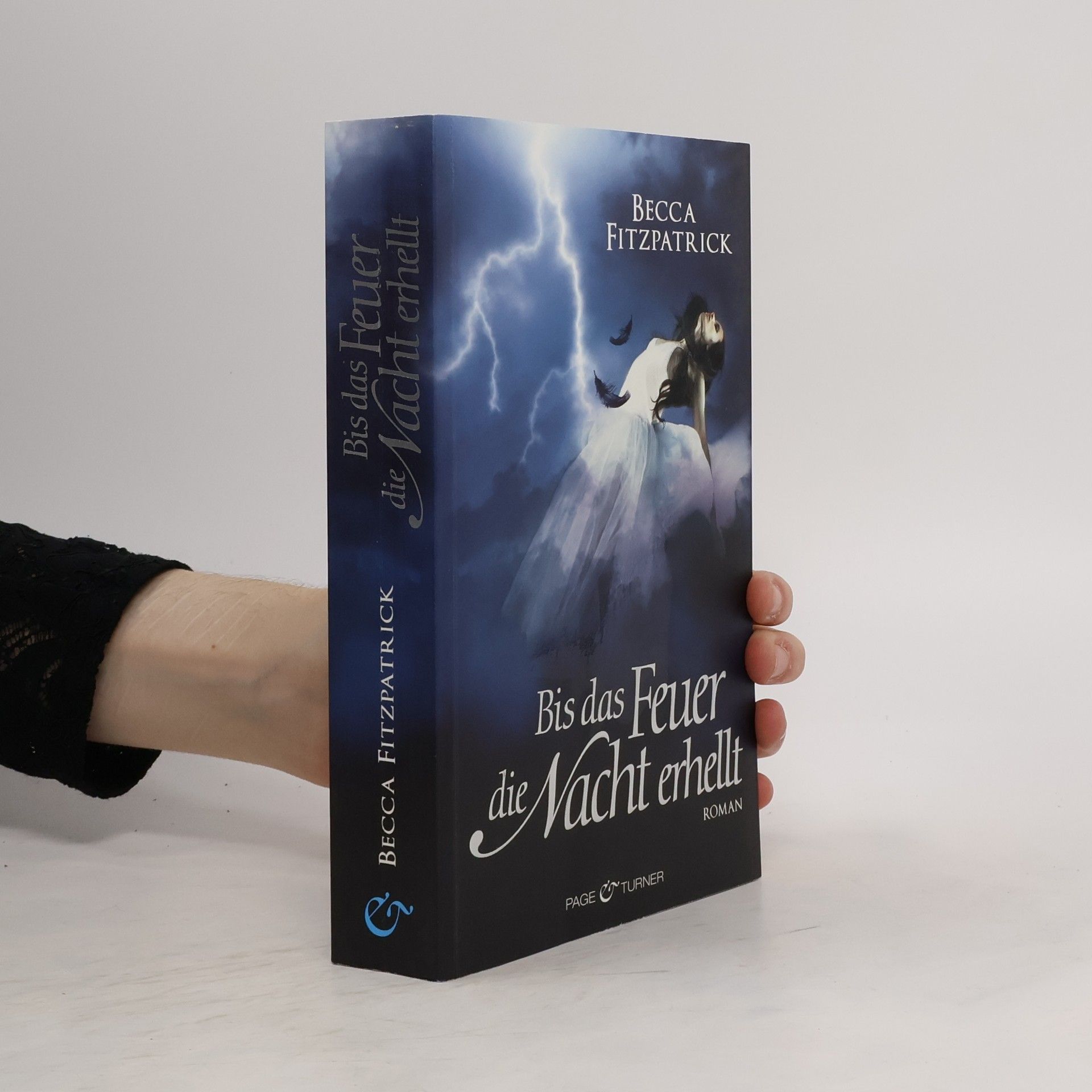 Becca Fitzpatrick Bis das Feuer die Nacht erhellt