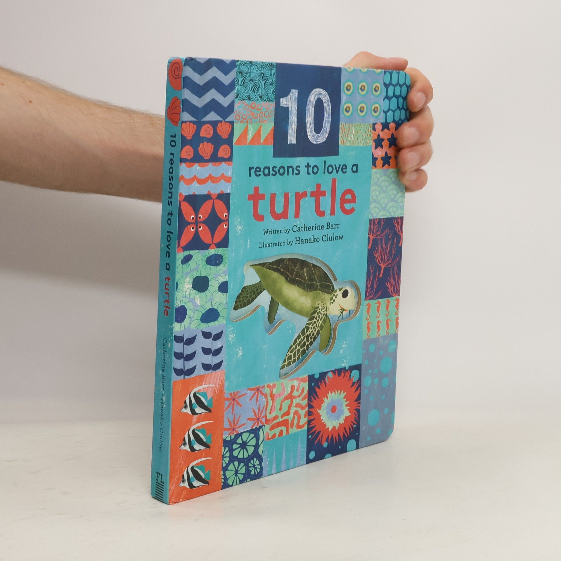 Catherine Barr 10 Reasons to Love a Turtle