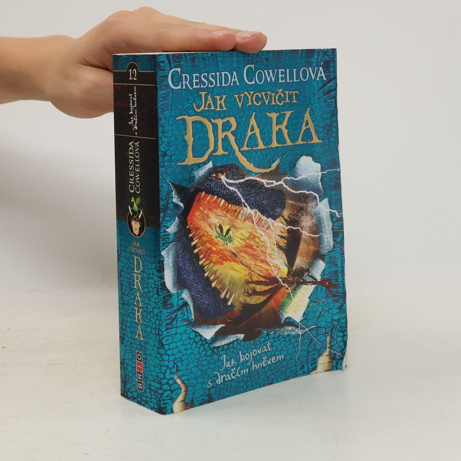 Cressida Cowell Jak bojovat s dračím hněvem
