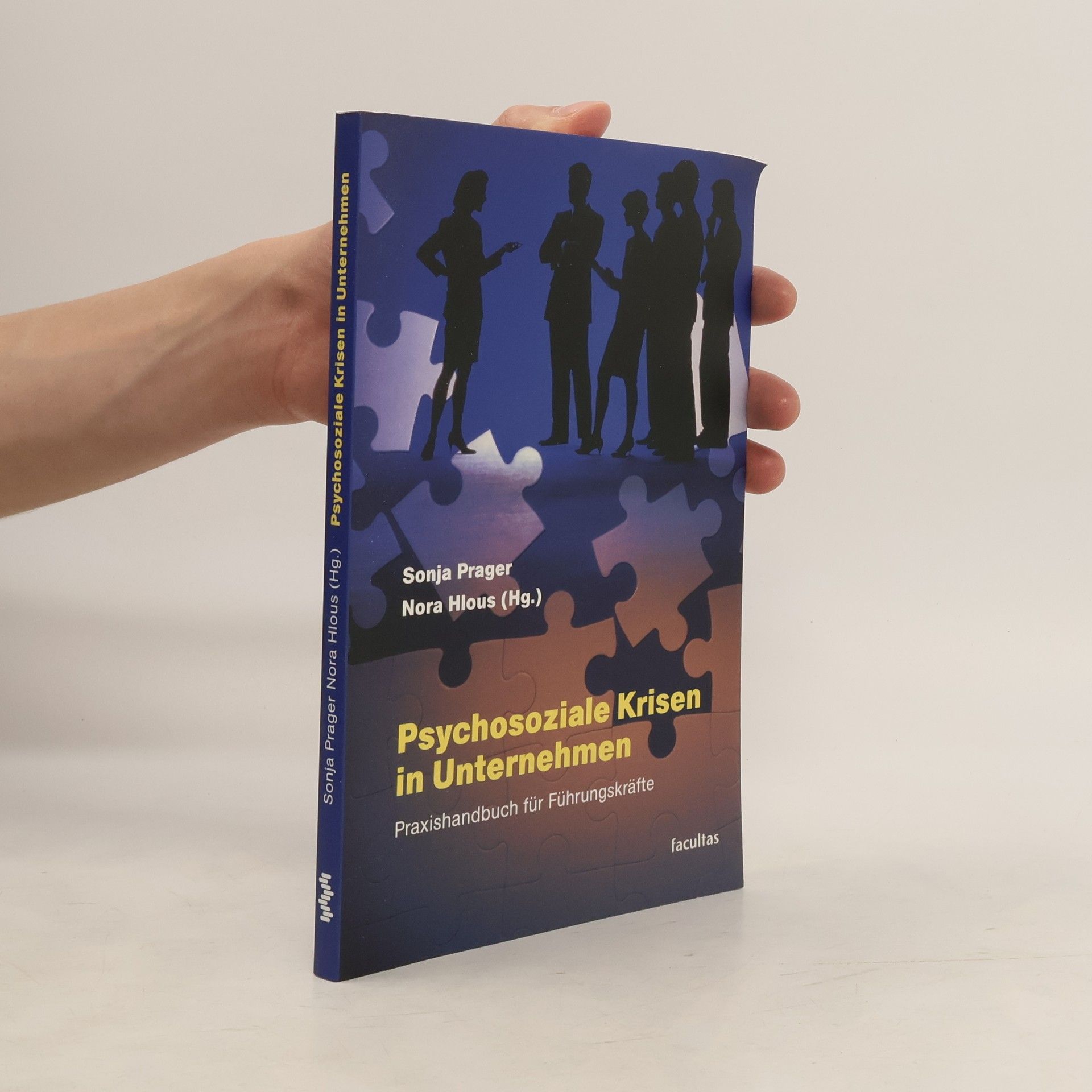 Nora Hlous Psychosoziale Krisen in Unternehmen