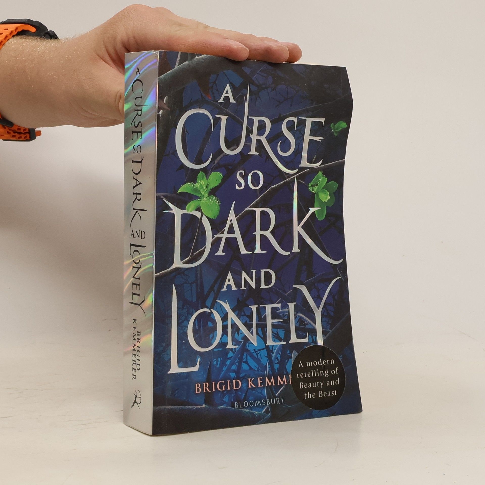 Brigid Kemmerer A curse so dark and lonely (1. díl série)