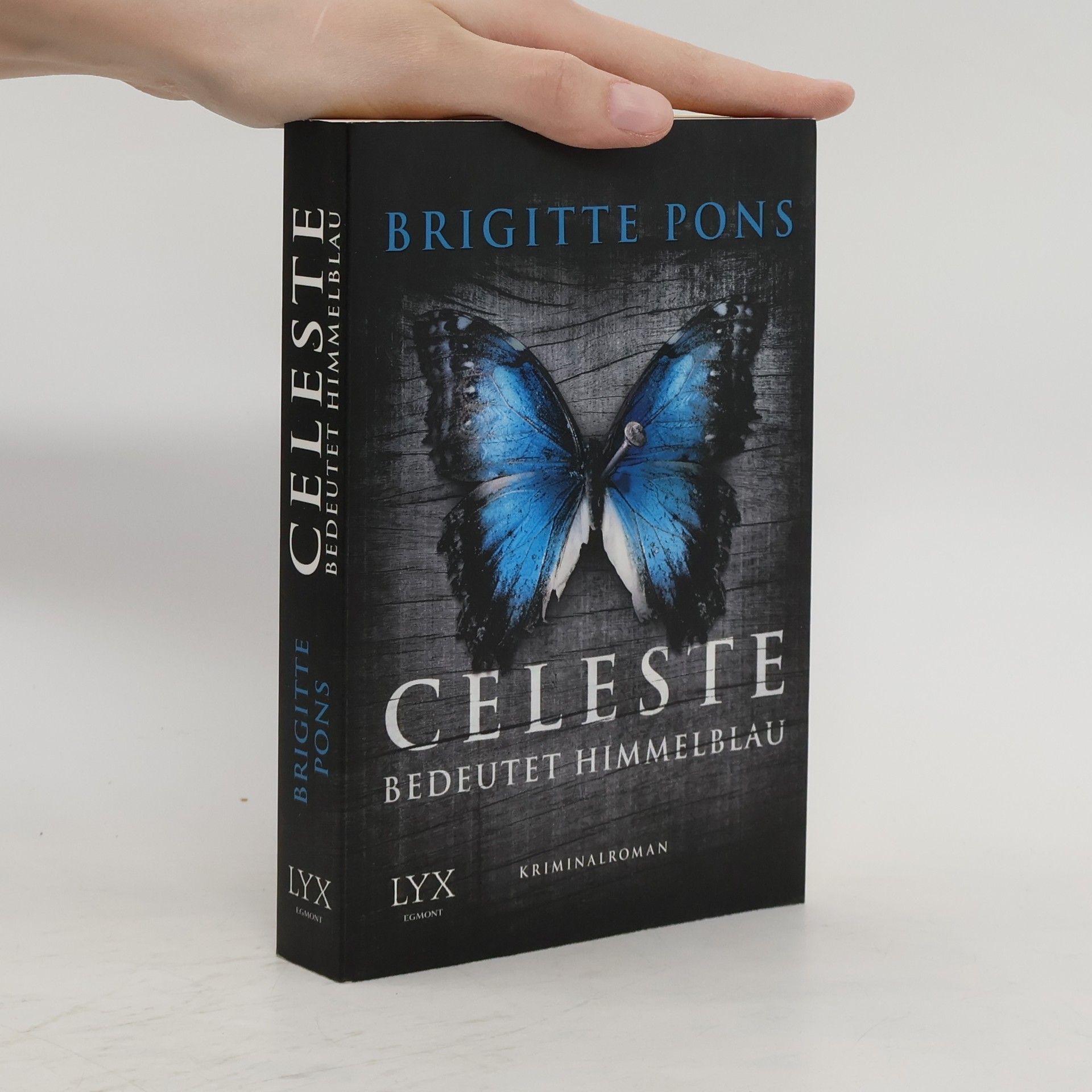 Brigitte Pons Celeste bedeutet Himmelblau