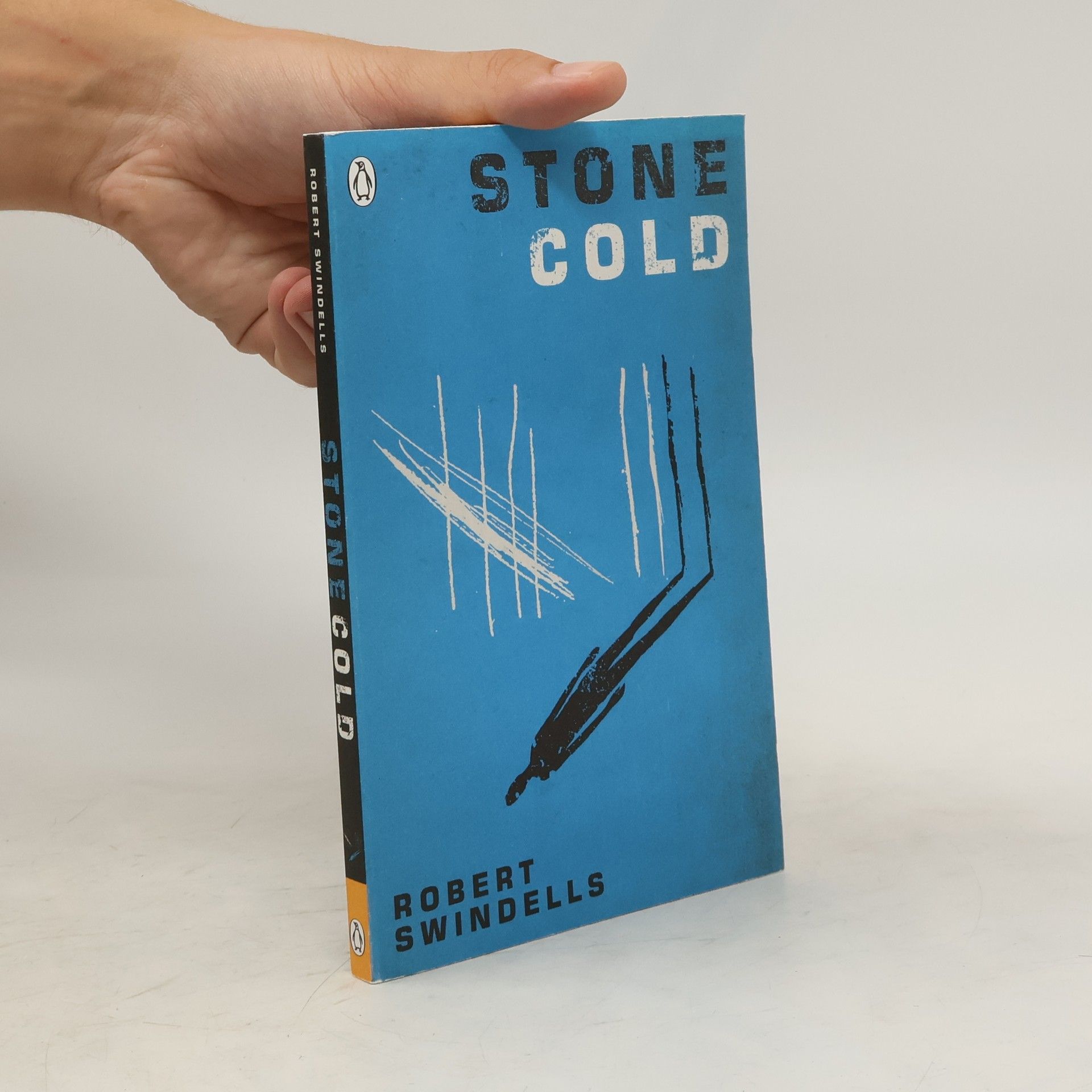Robert E. Swindells Swindells: Stone Cold