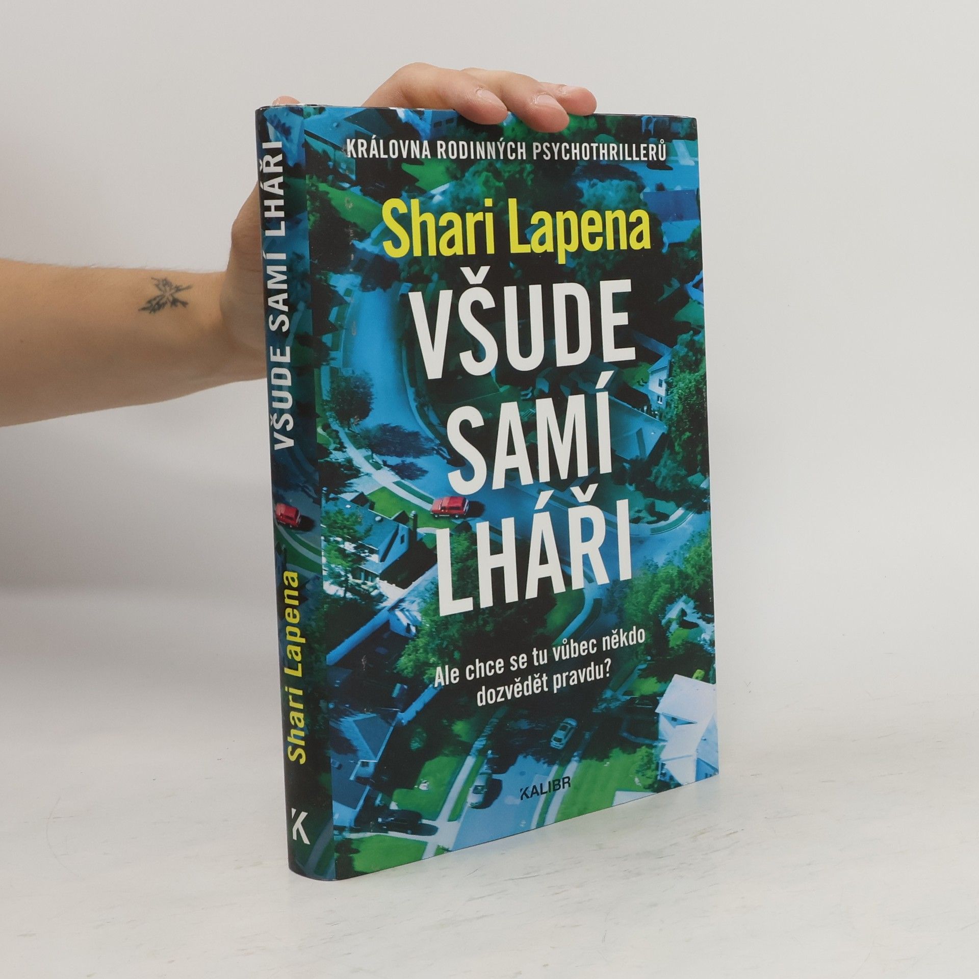Shari Lapena Všude samí lháři