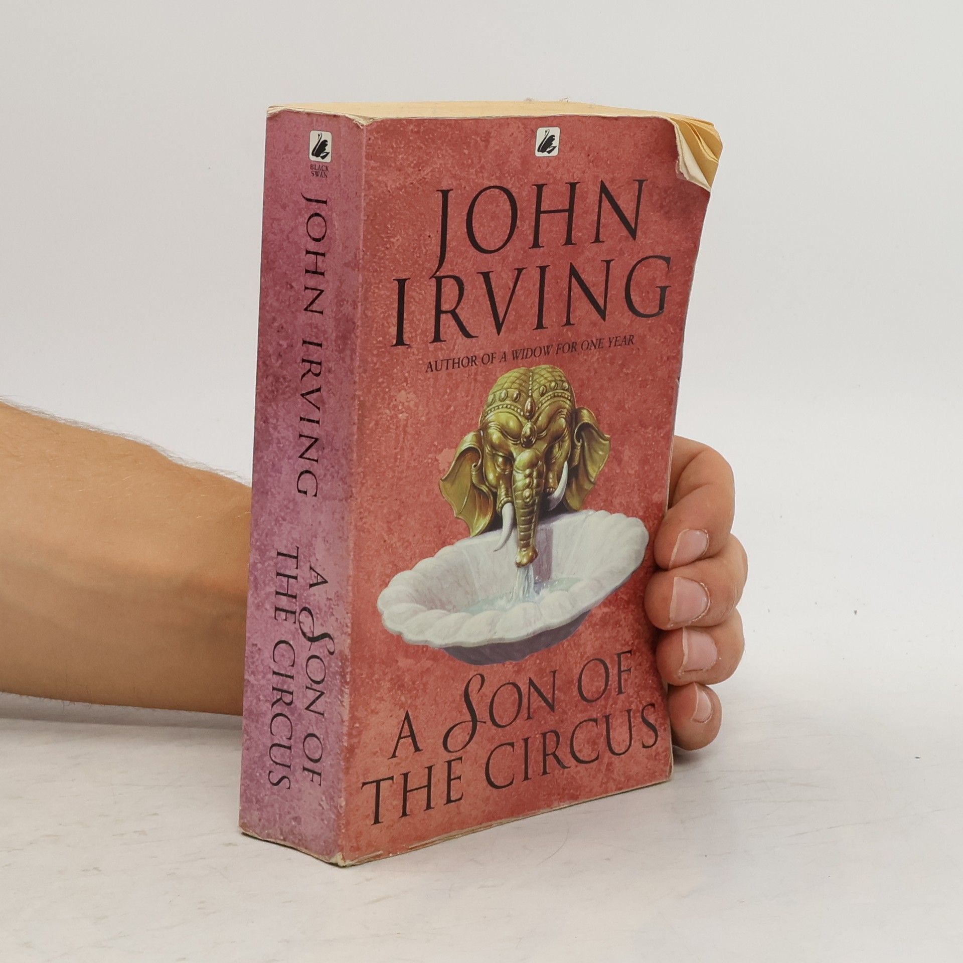 John Irving A son of the circus