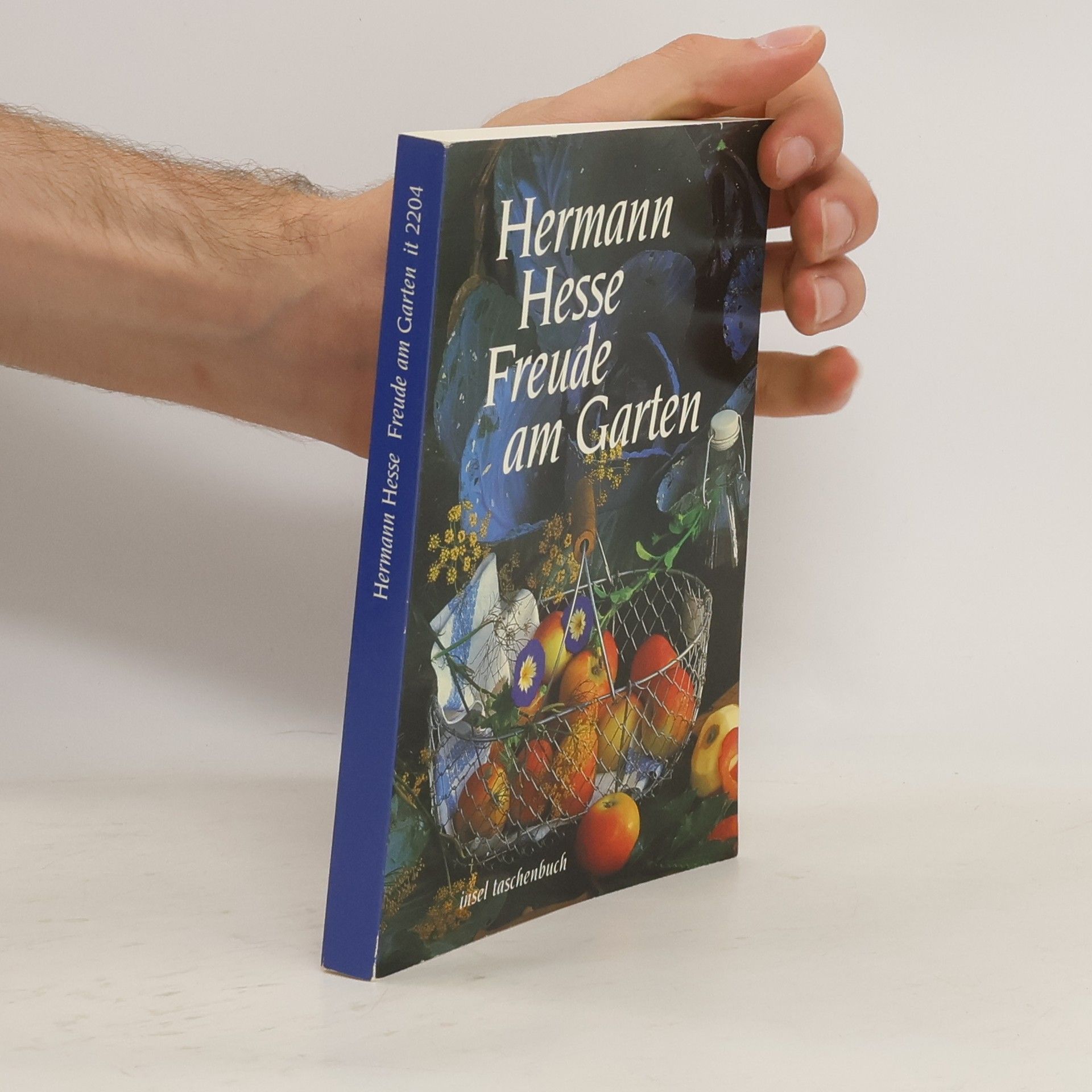 Hermann Hesse Freude am Garten