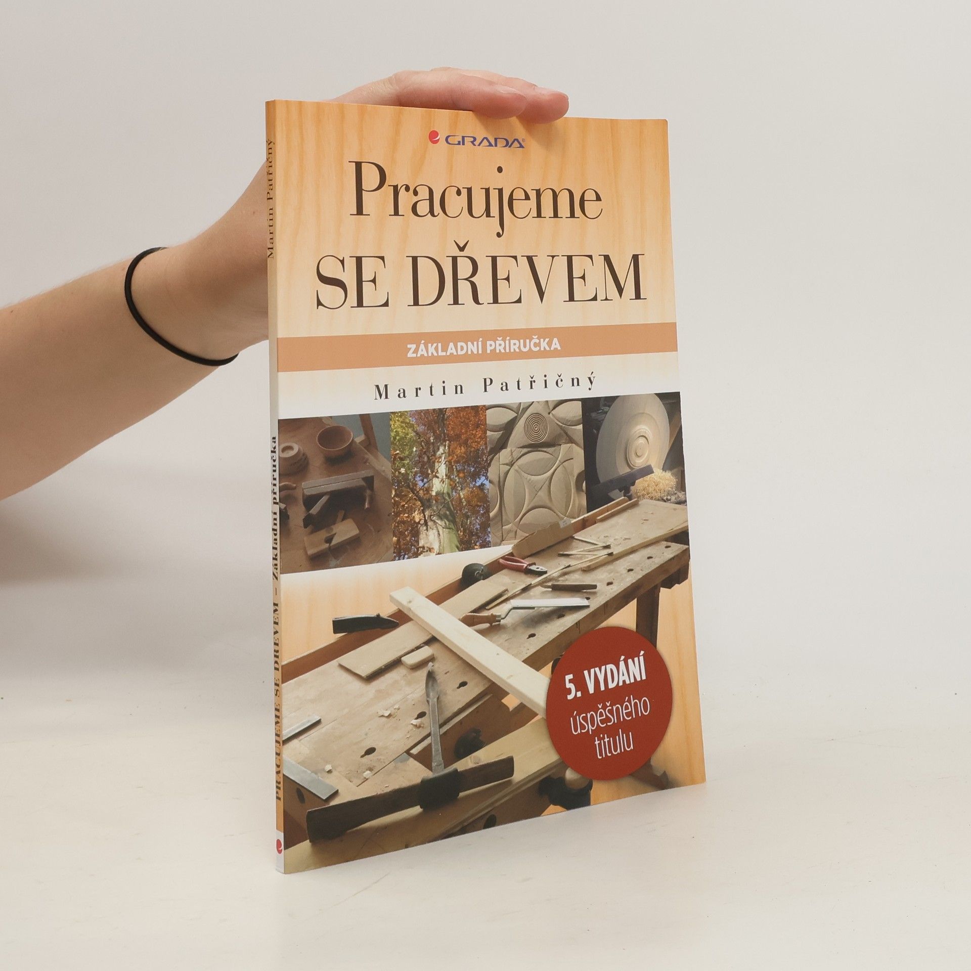 Martin Patřičný Pracujeme se dřevem. Základní příručka