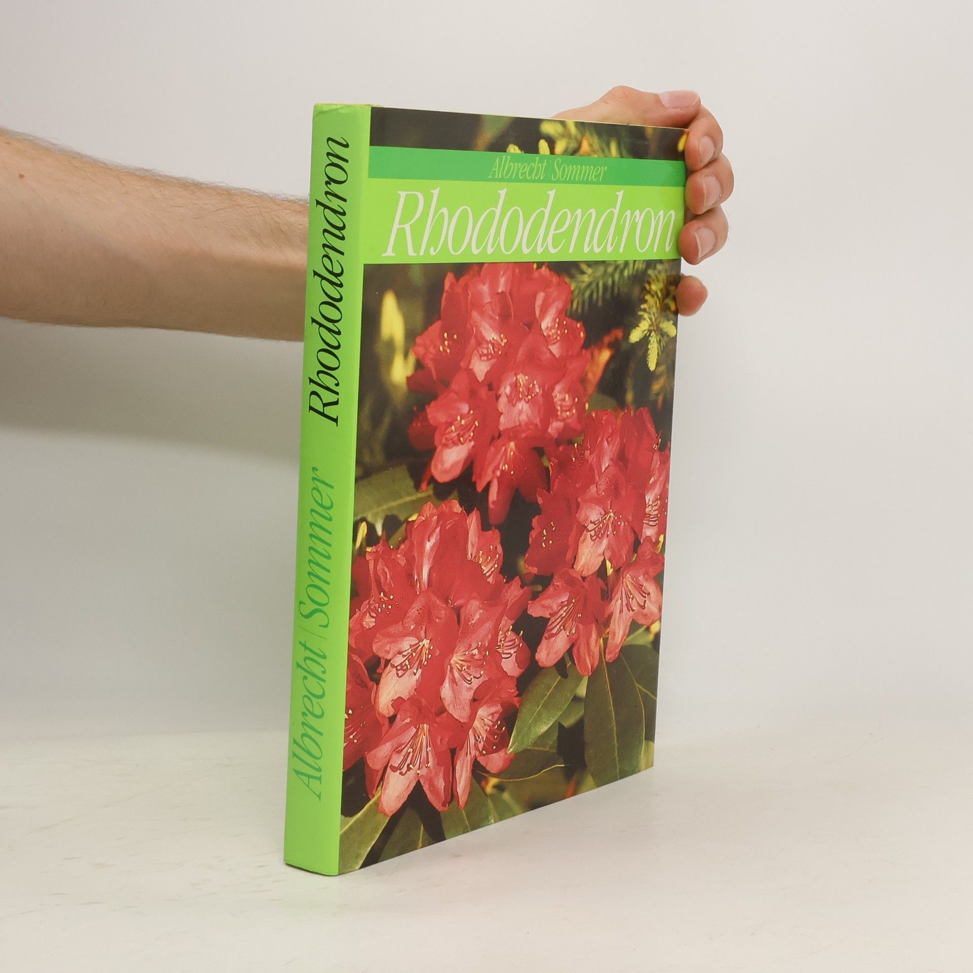 Hans Joachim Albrecht Rhododendron
