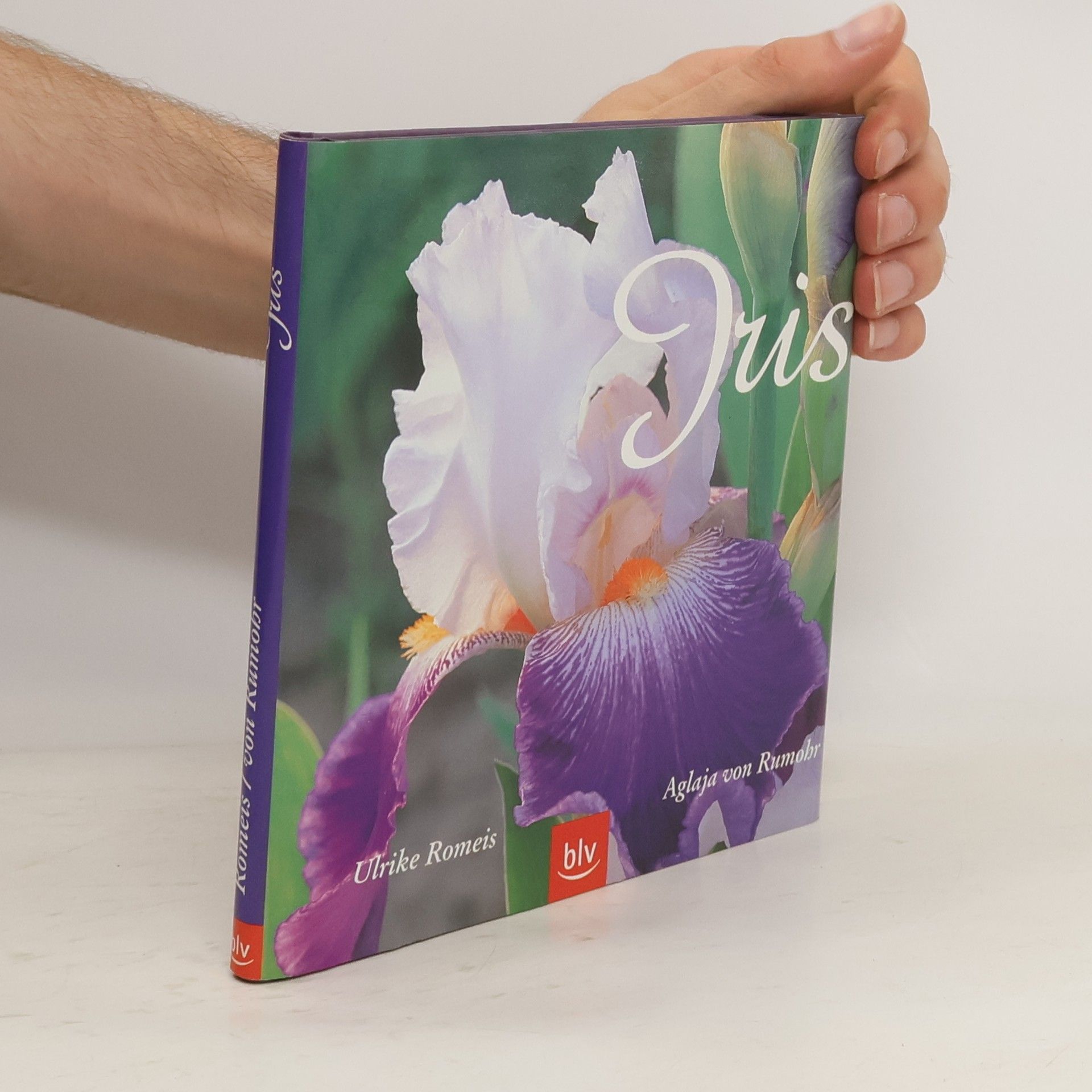 Ulrike Romeis Iris