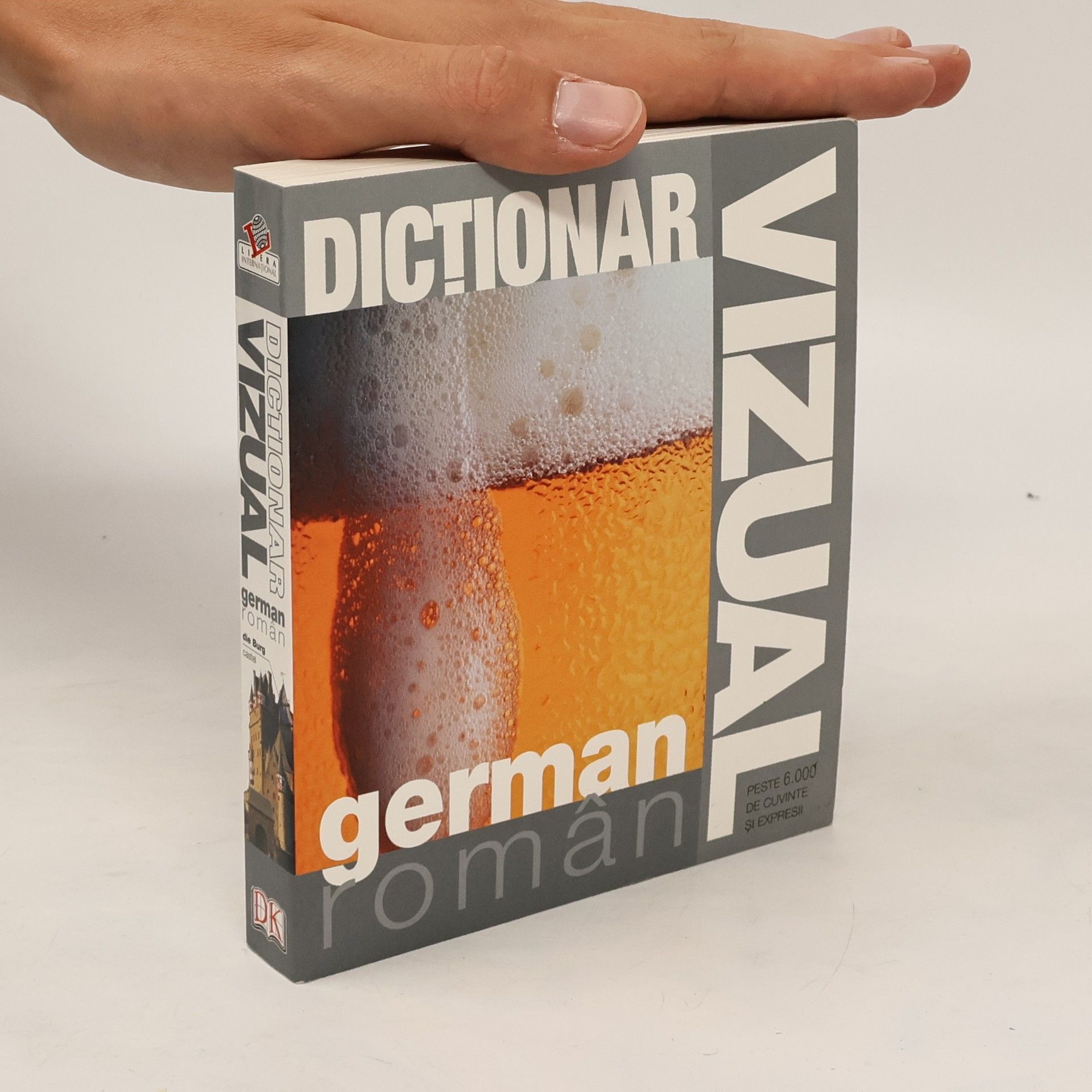 Various authors Dictionar Vizual