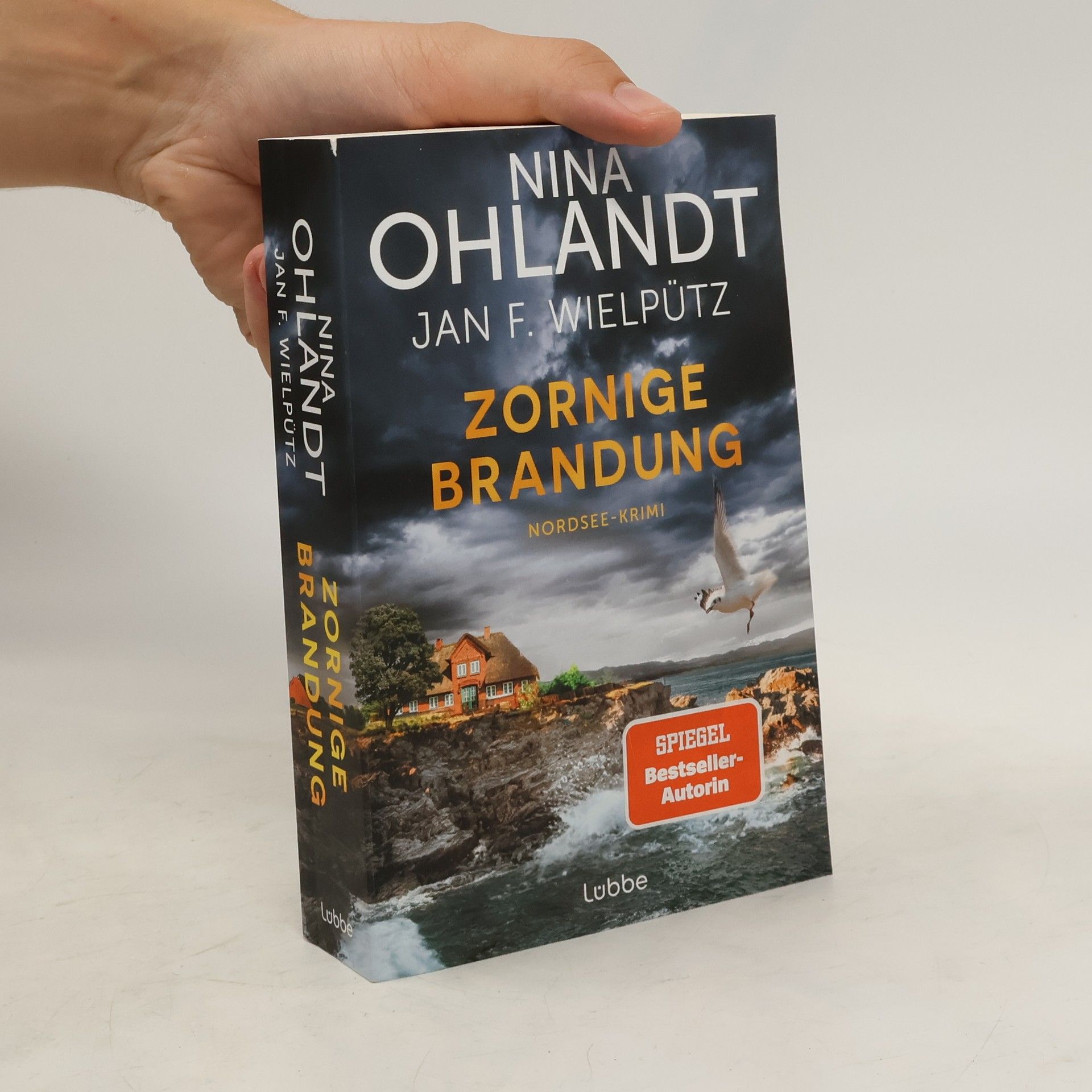 Nina Ohlandt Zornige Brandung