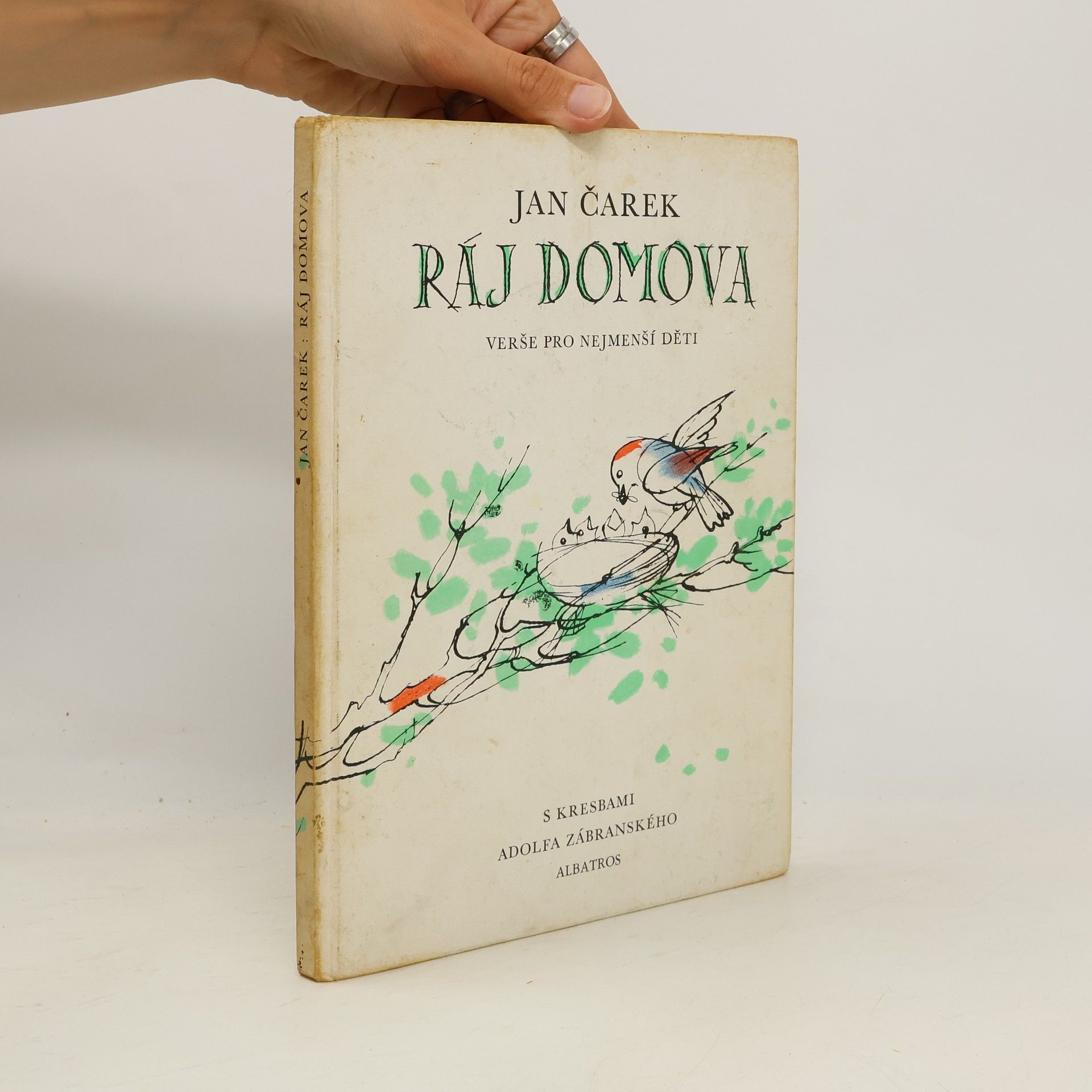 Jan Čarek Ráj domova
