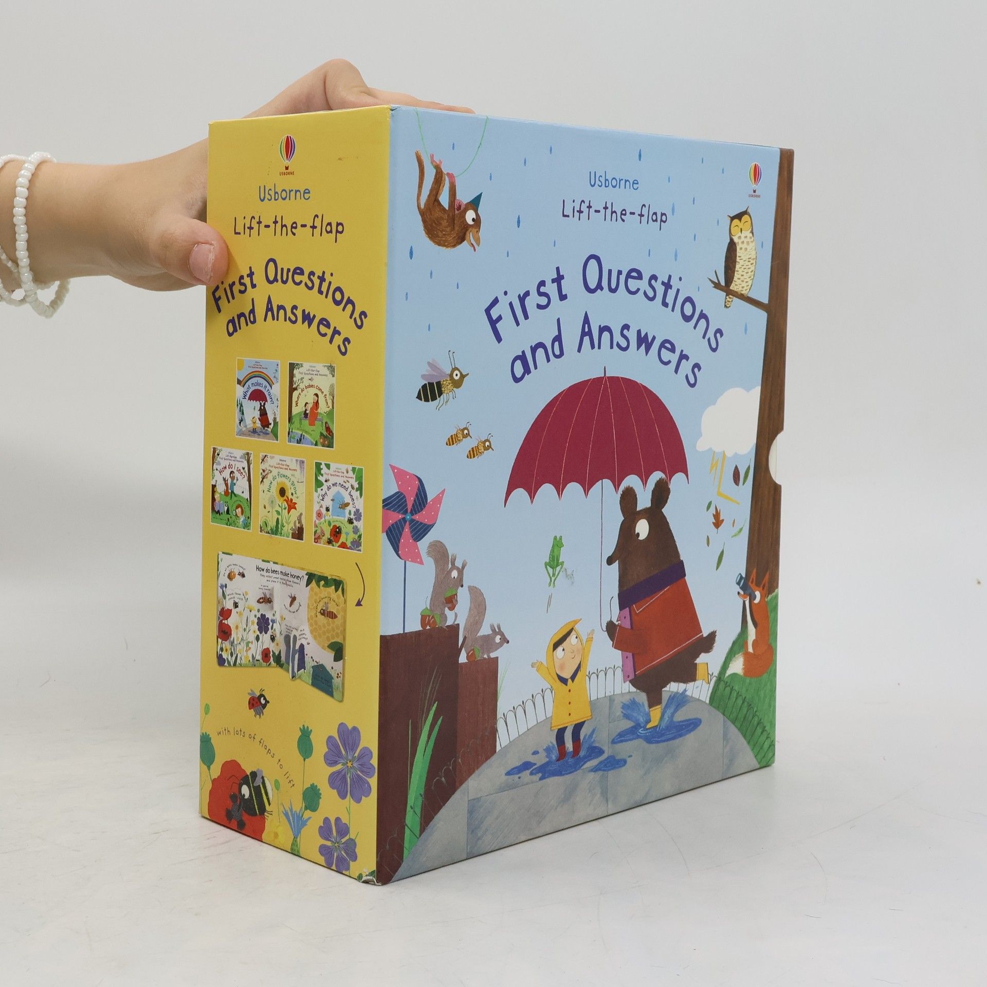 Katie Daynes Lift-The-flap FIRST Questions and Answers Boxset