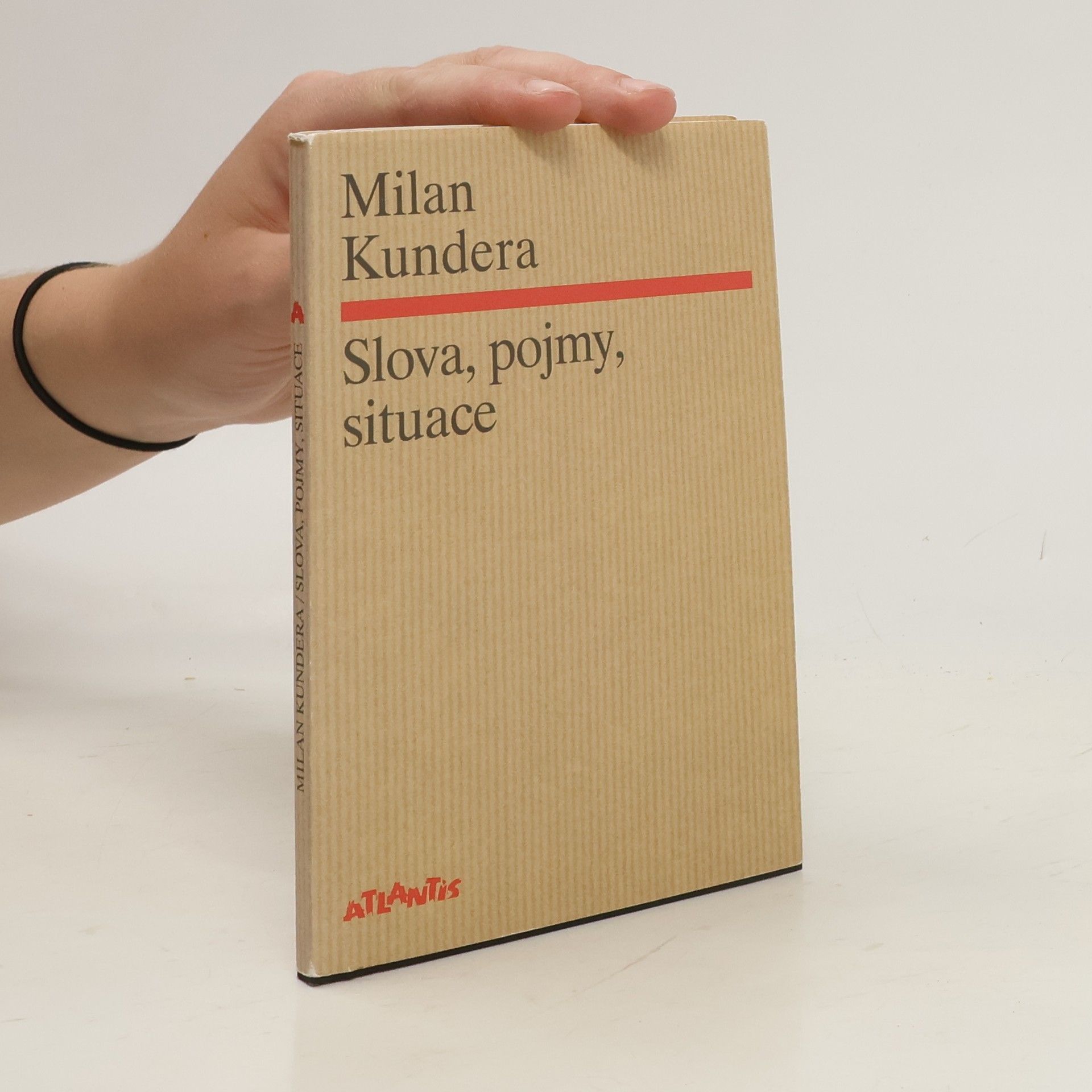 Milan Kundera Slova, pojmy, situace
