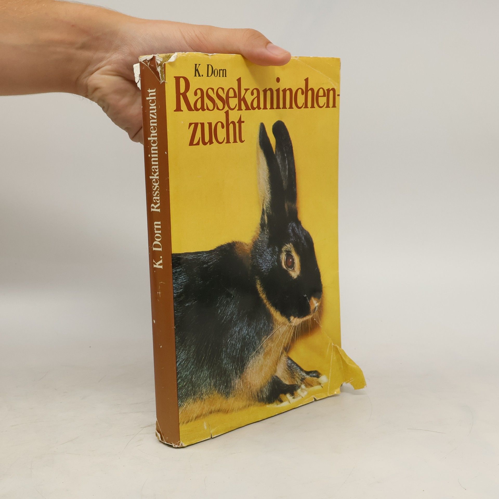K. Dorn Rassekaninchenzucht