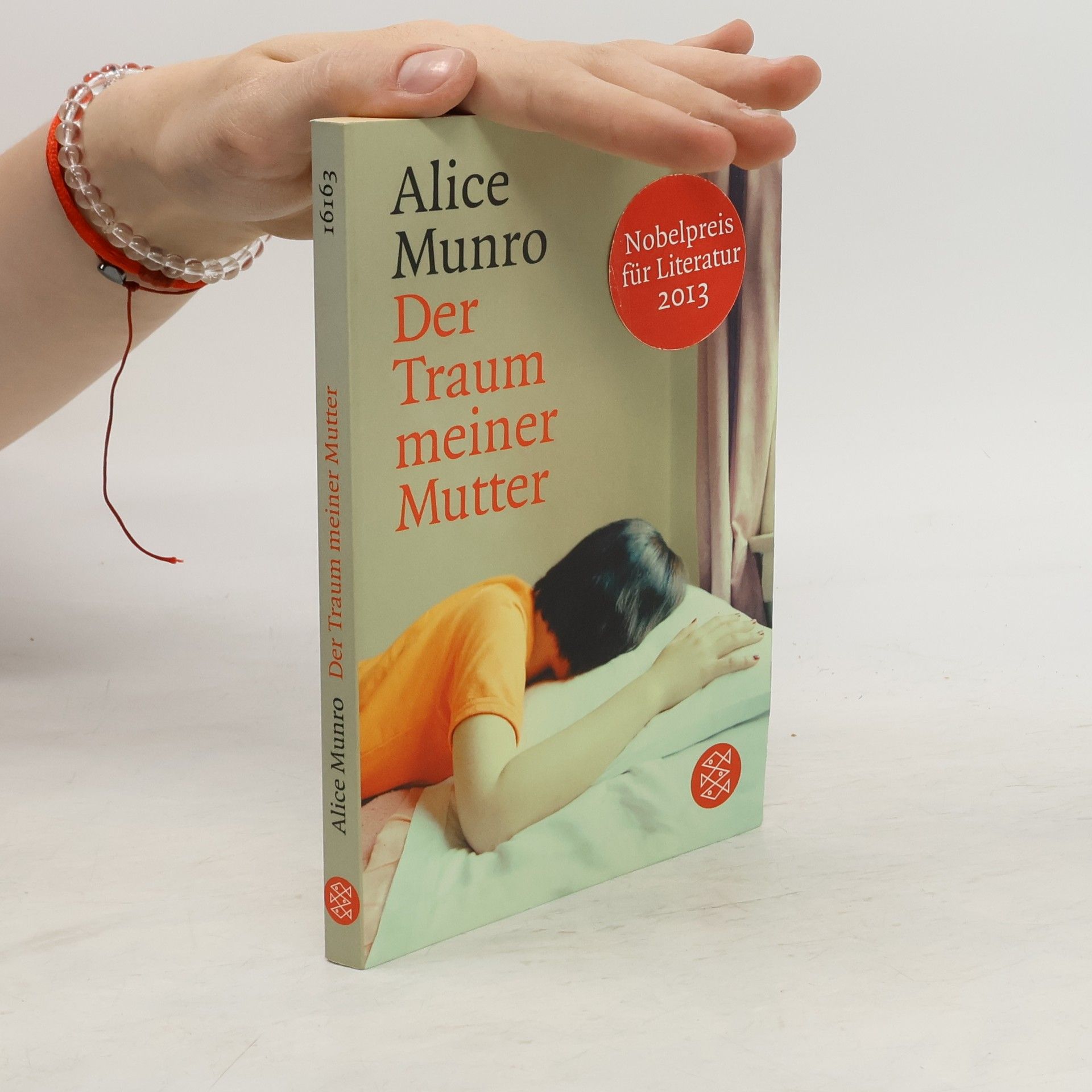 Alice Munroová Der Traum meiner Mutter