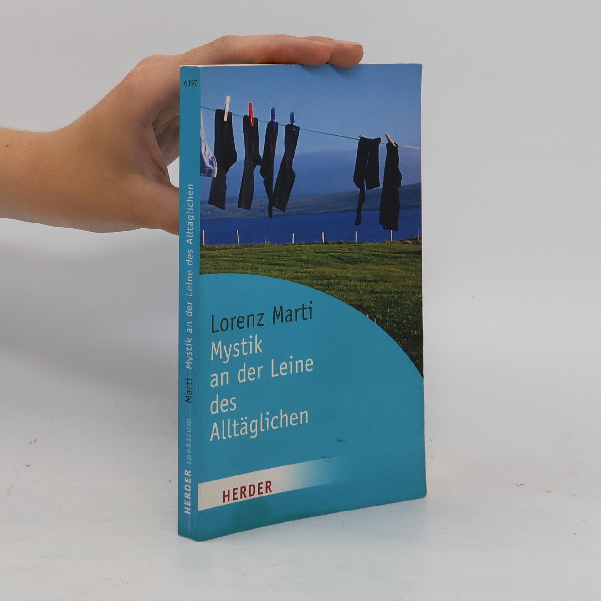 Lorenz Marti Mystik an der Leine des Alltäglichen
