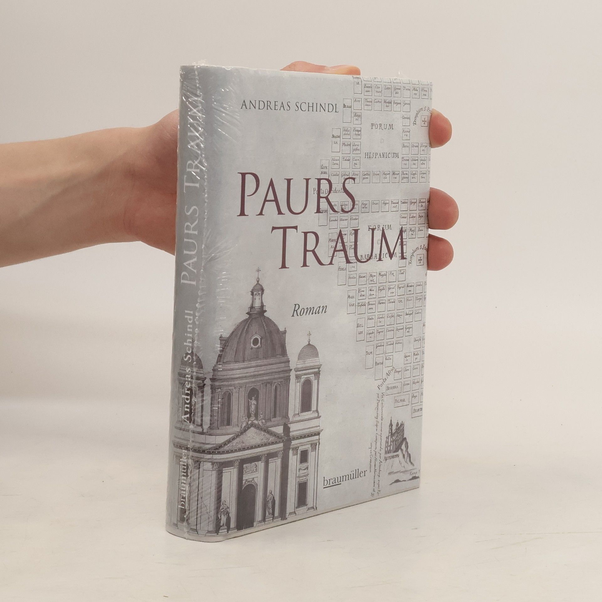 Andreas Schindl Paurs Traum . Roman