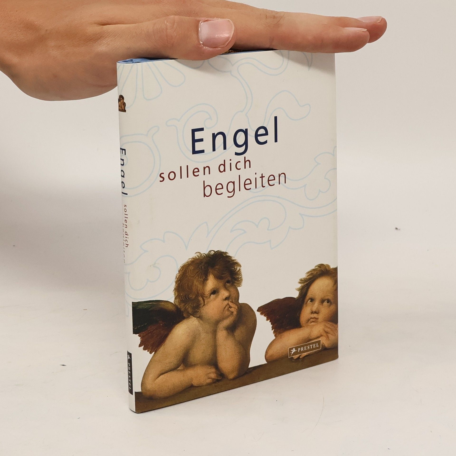 Doris Kutschbach Engel sollen dich begleiten