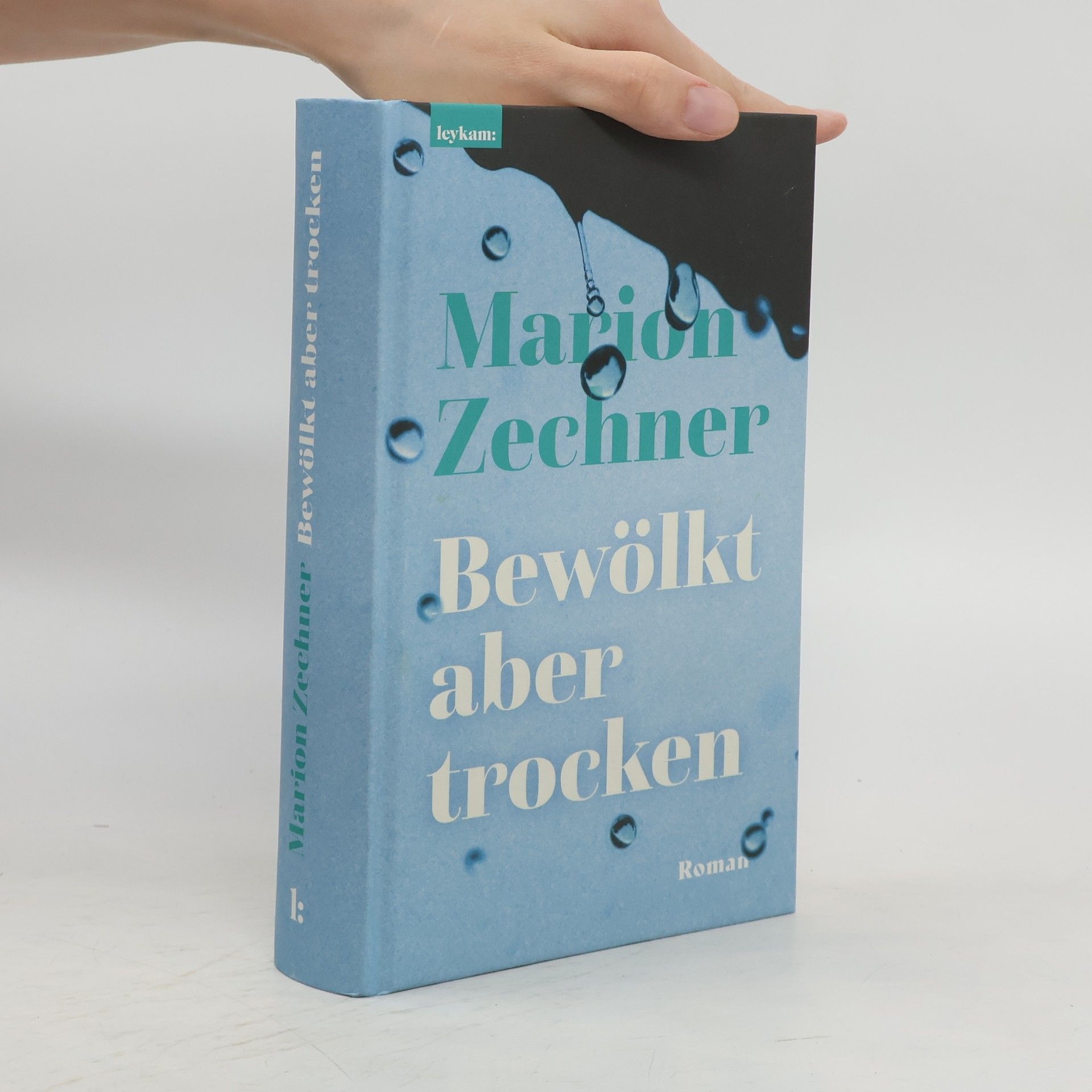 Marion Zechner Bewölkt aber trocken