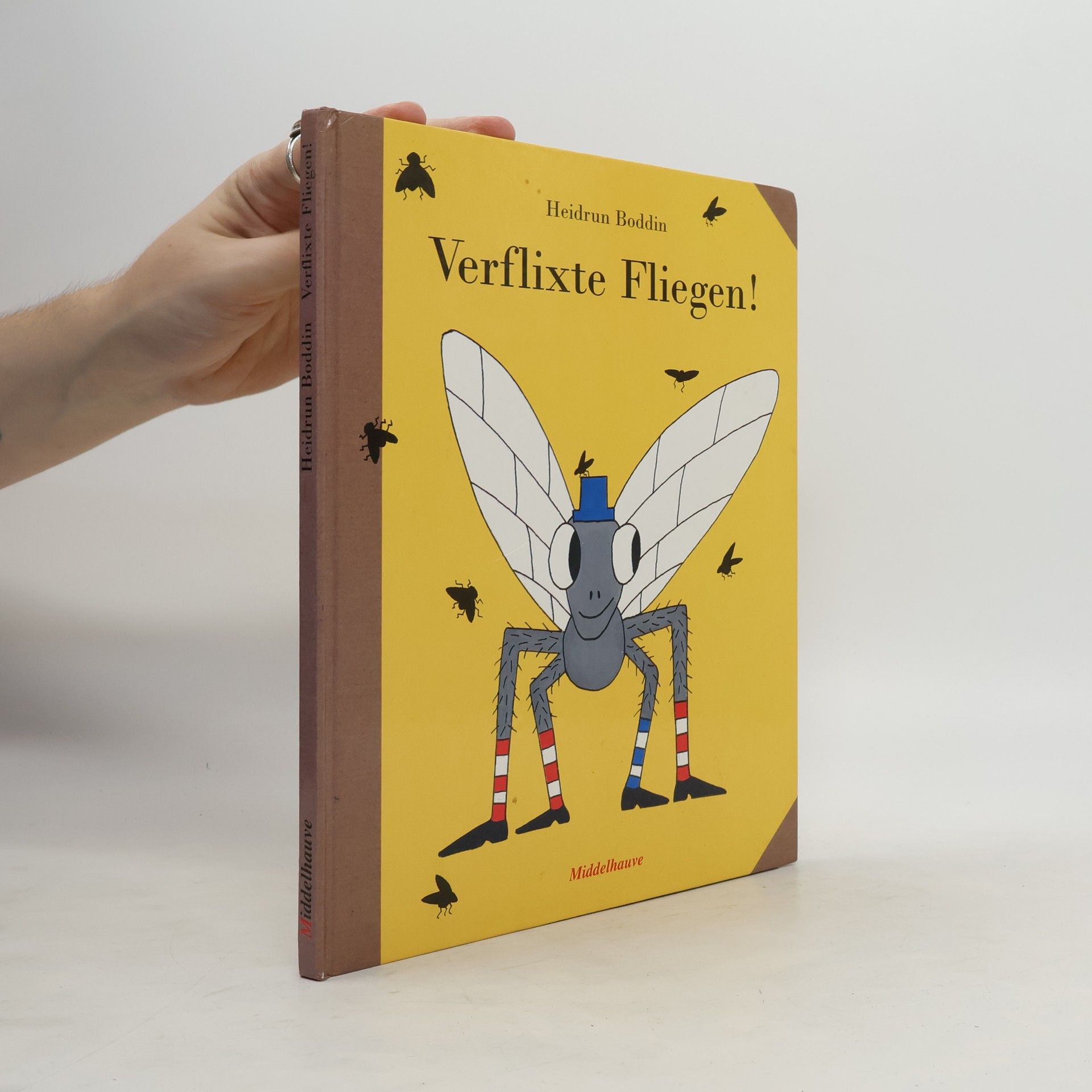 Heidrun Boddin Verflixte Fliegen!