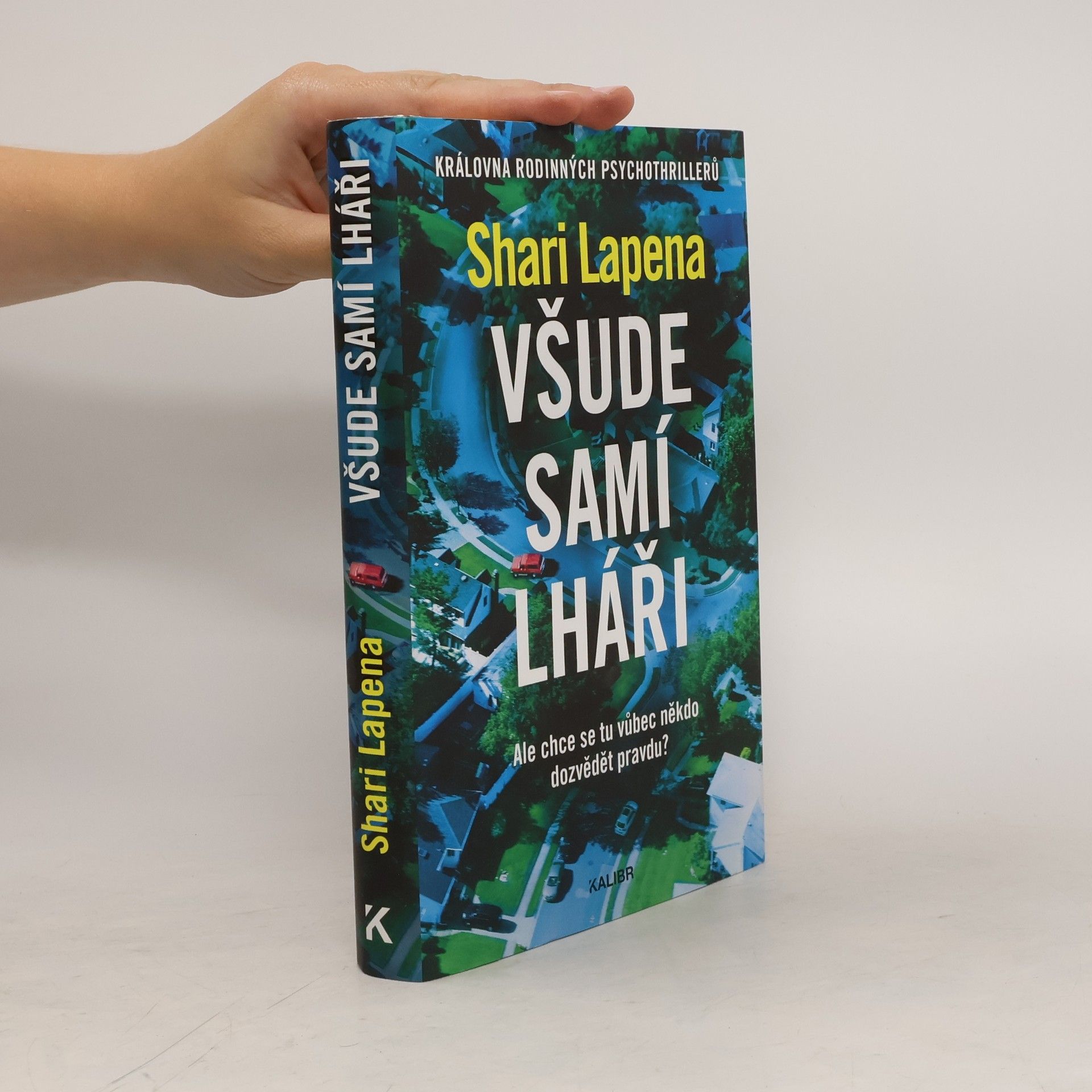 Shari Lapena Všude samí lháři
