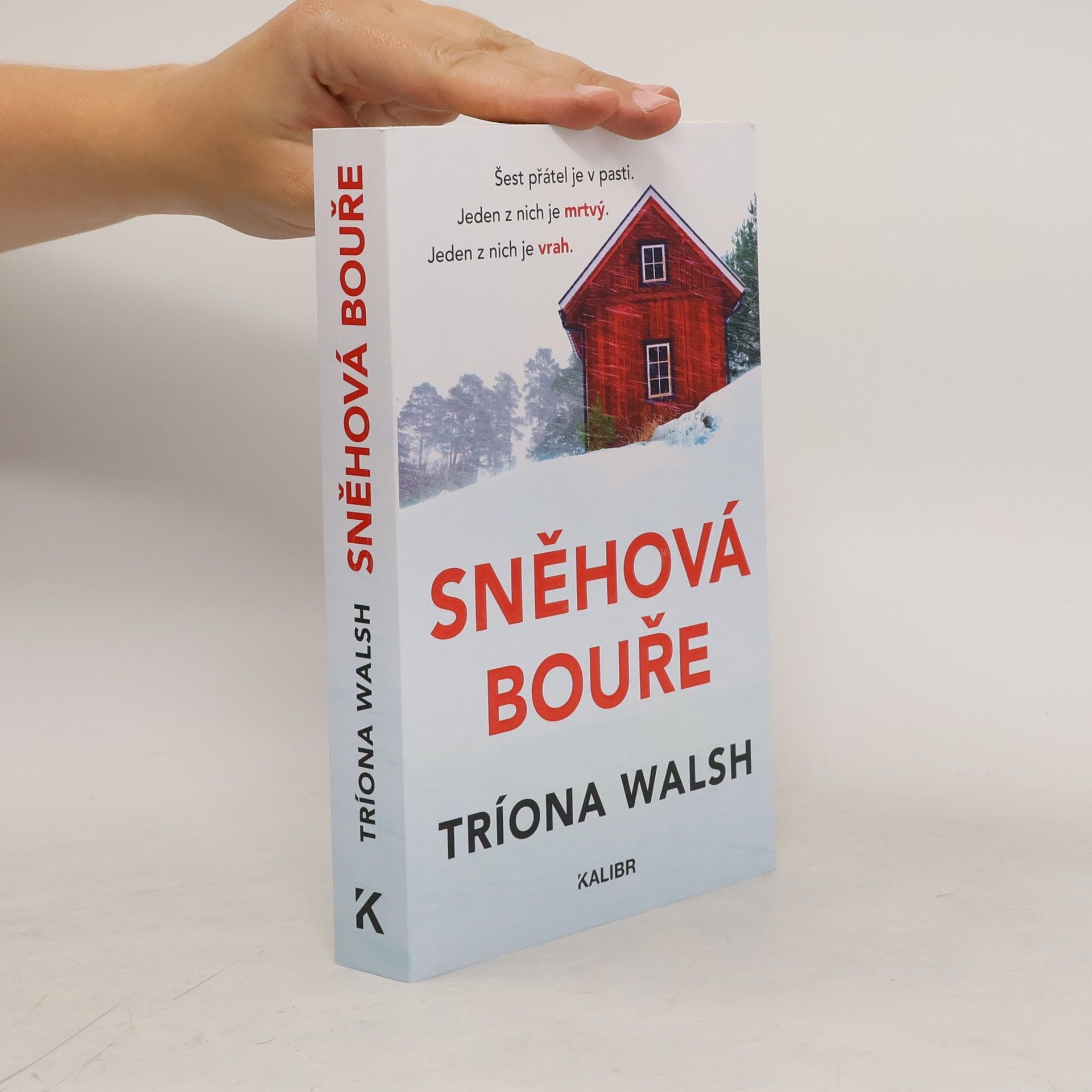 Tríona Walsh Sněhová bouře